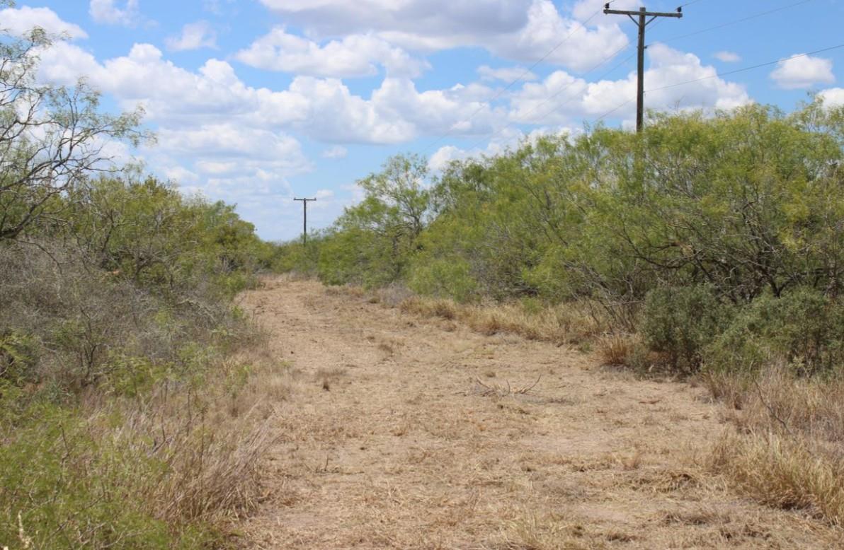 0 County Road 284 Rd, Benavides, TX 78341