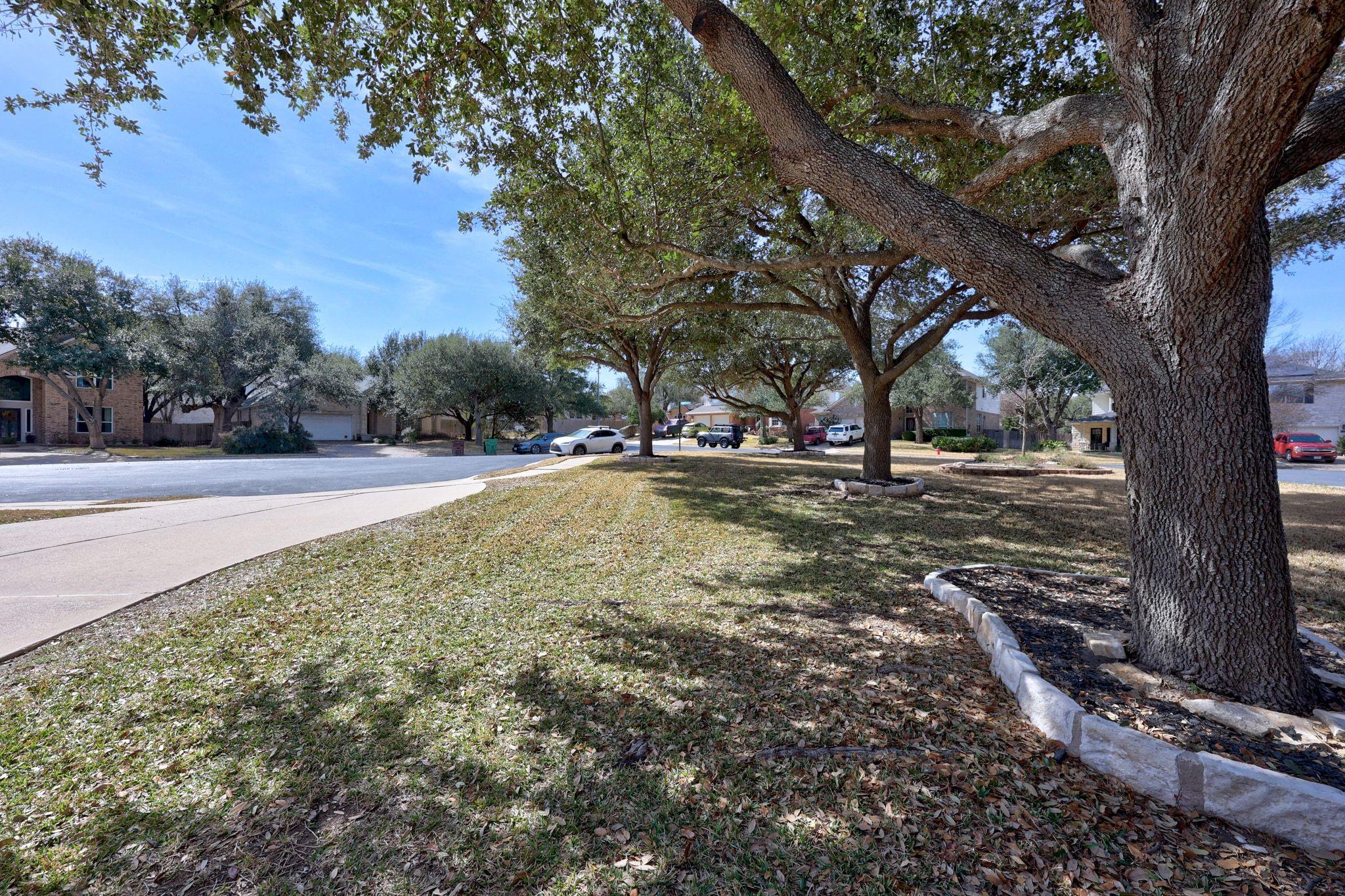 9001 Full Moon Cv, Round Rock, TX 78681