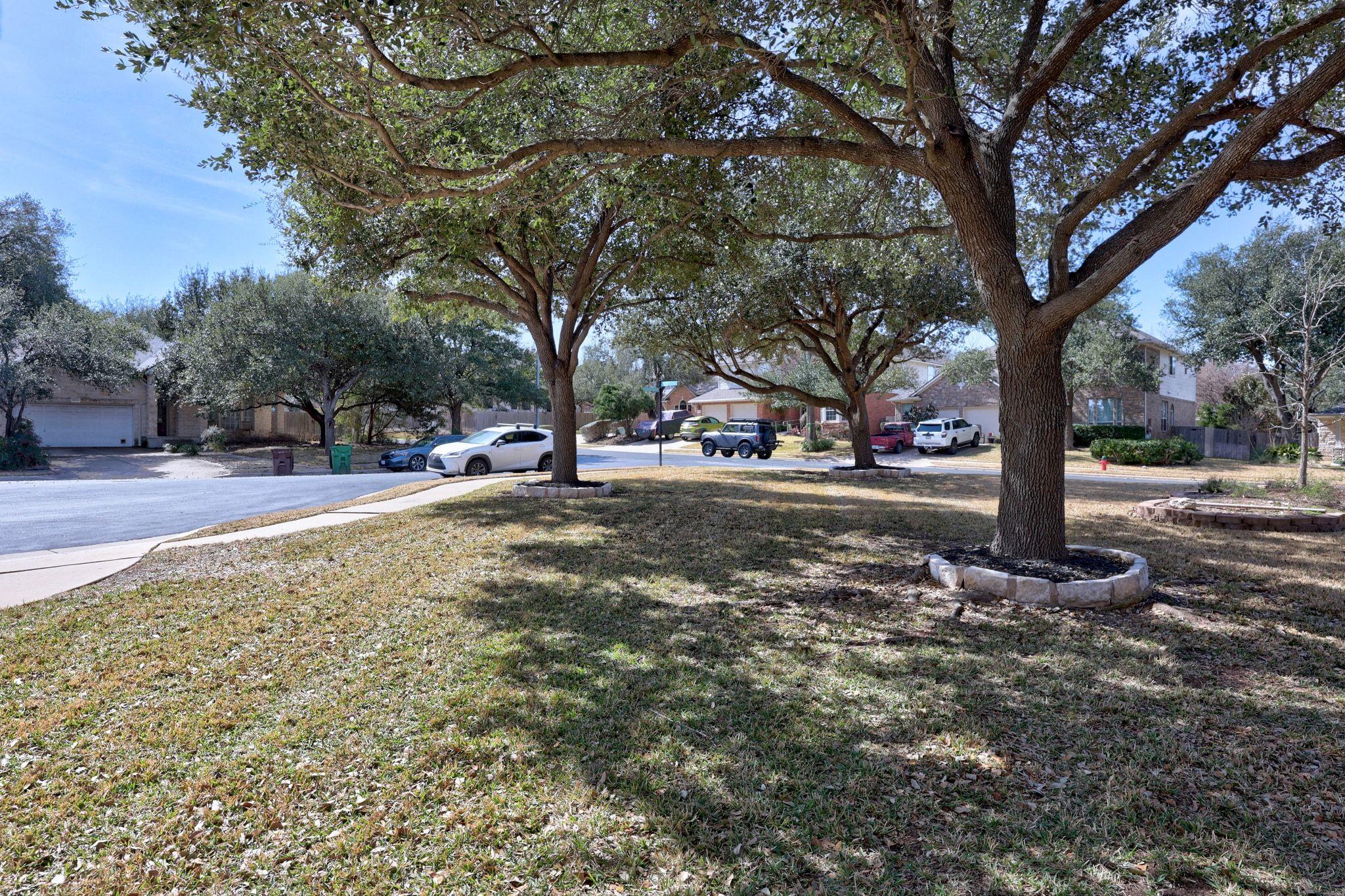 9001 Full Moon Cv, Round Rock, TX 78681