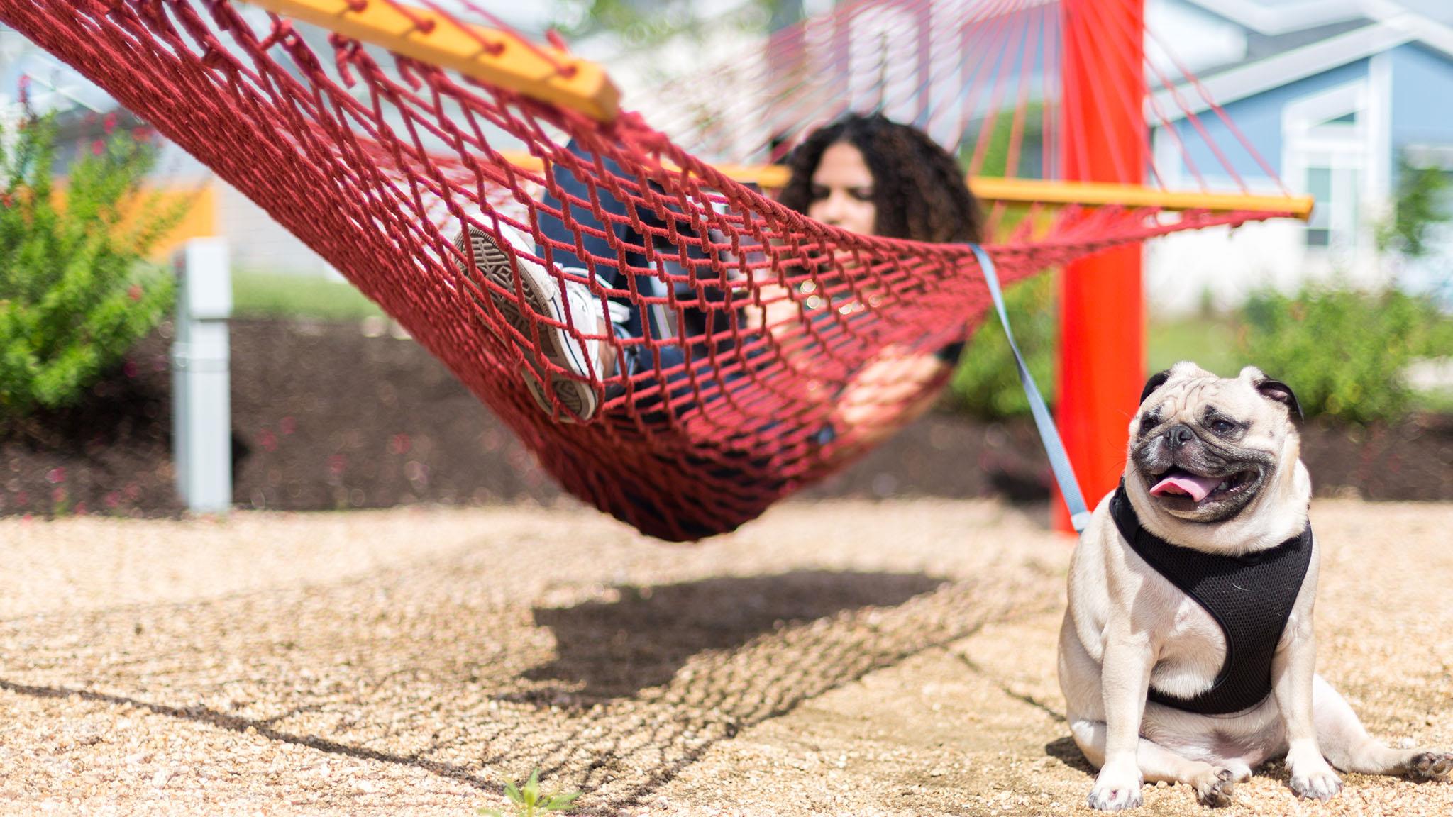 9000 Fallkill Dr, Austin, TX 78744