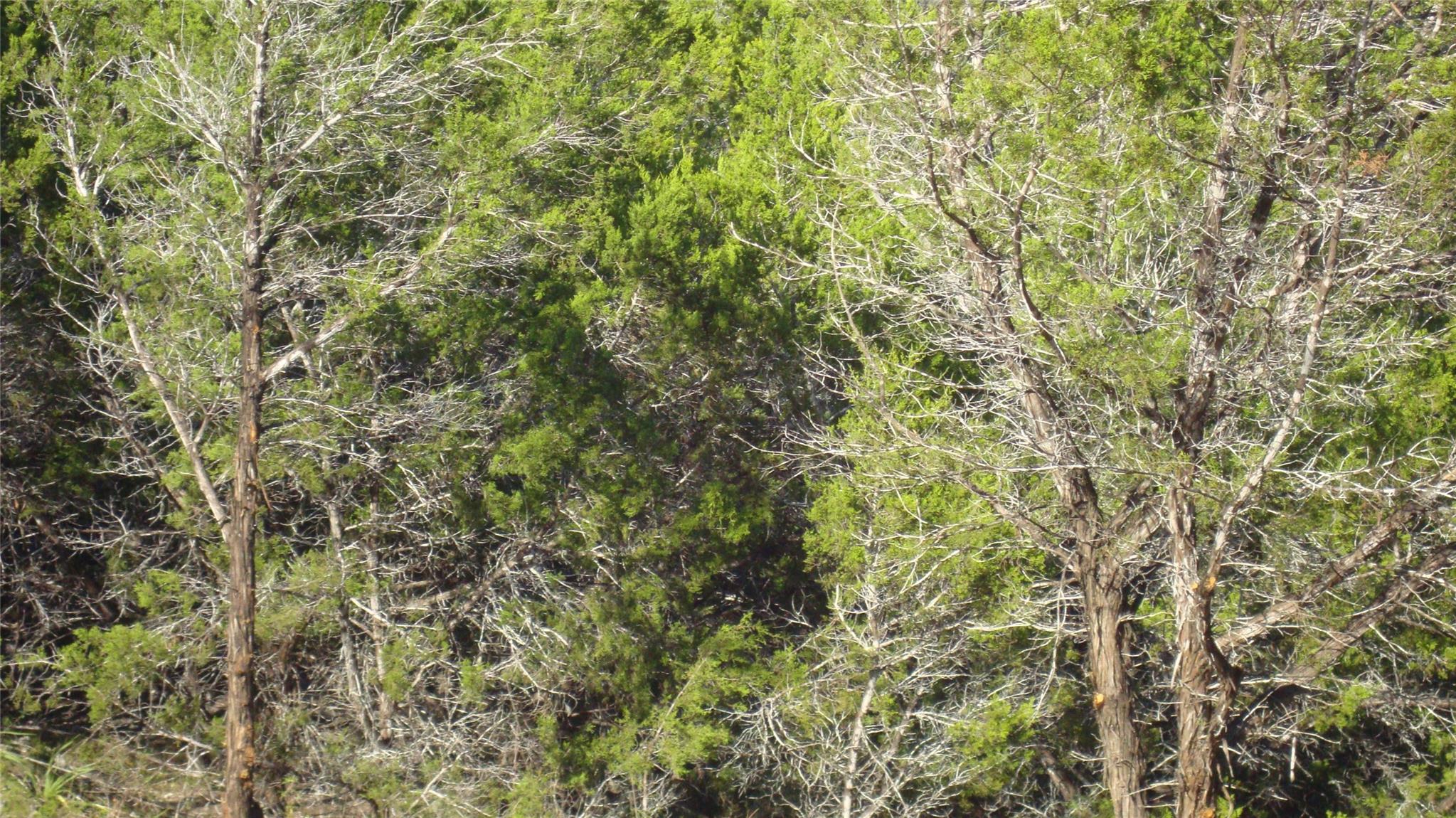 13904 & 13902 Saskatchewan Dr, Austin, TX 78734