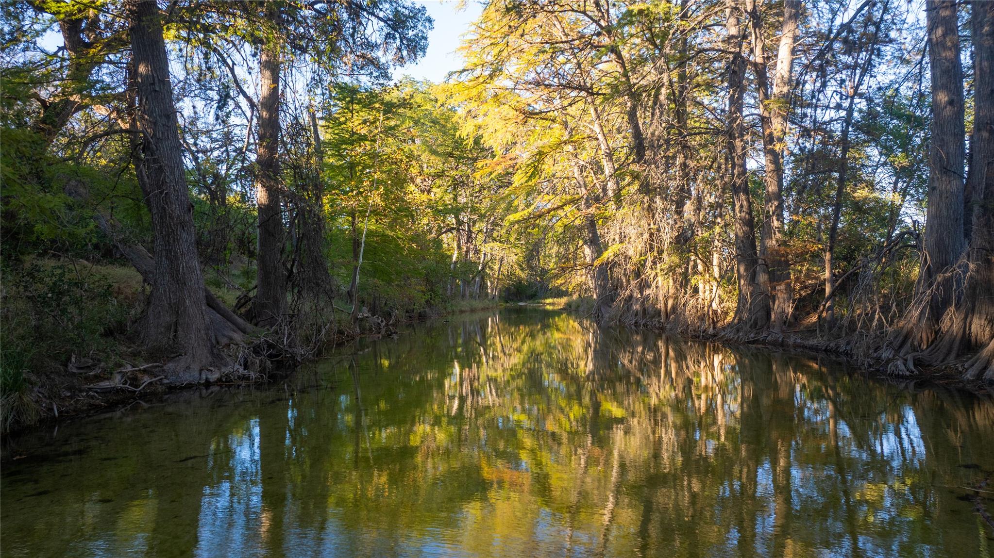 358 Cornelius Rd, Utopia, TX 78885