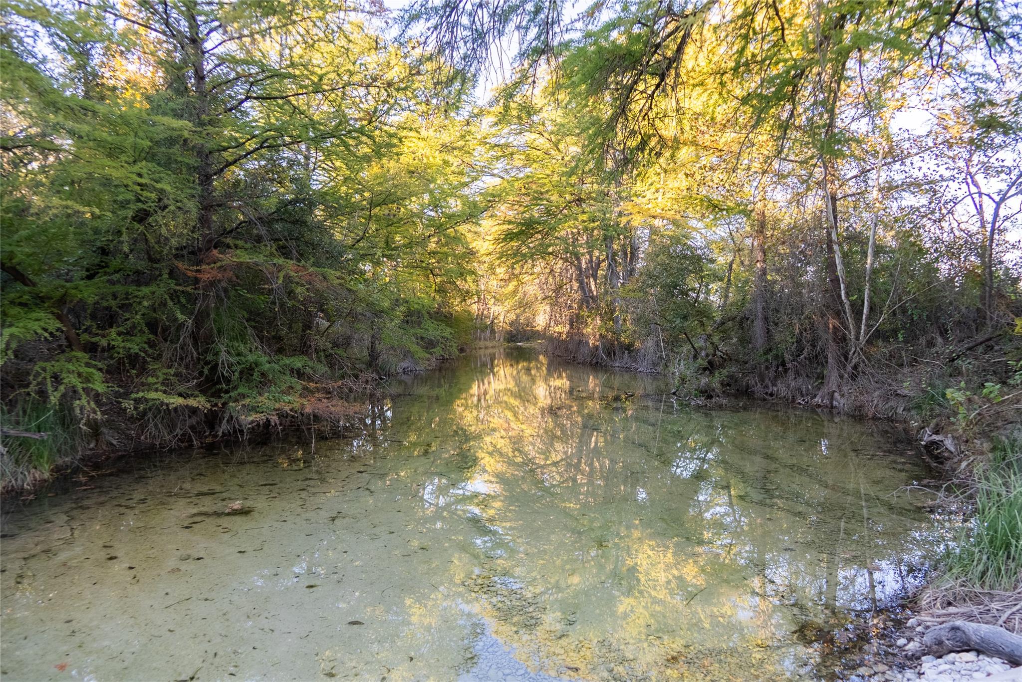 358 Cornelius Rd, Utopia, TX 78885