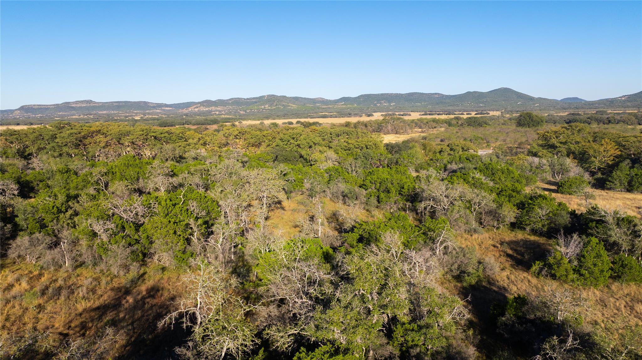 358 Cornelius Rd, Utopia, TX 78885