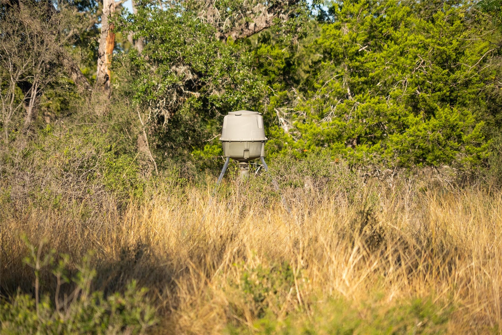 358 Cornelius Rd, Utopia, TX 78885