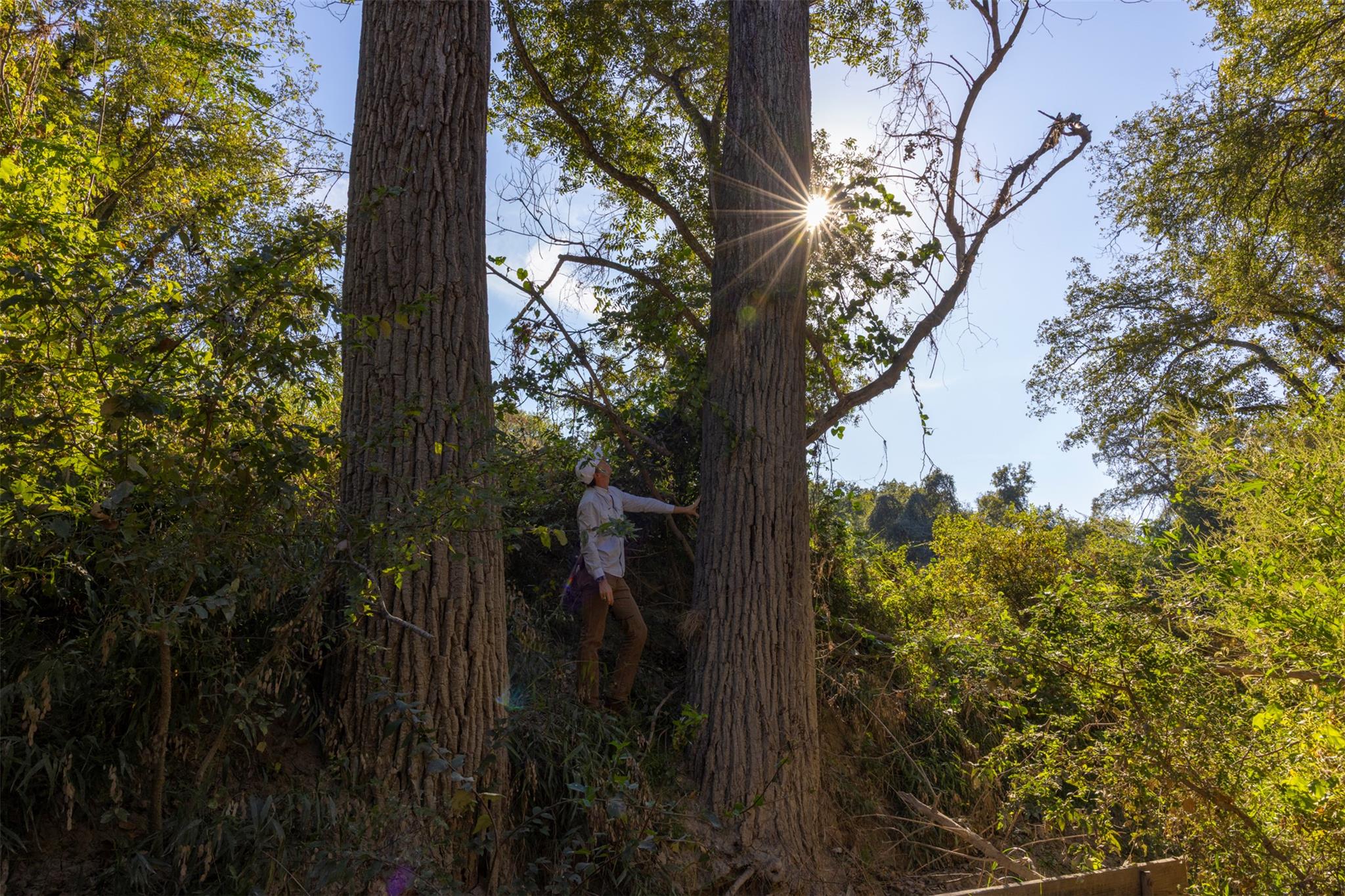 0 FM 2484 Rd, Killeen, TX 76542