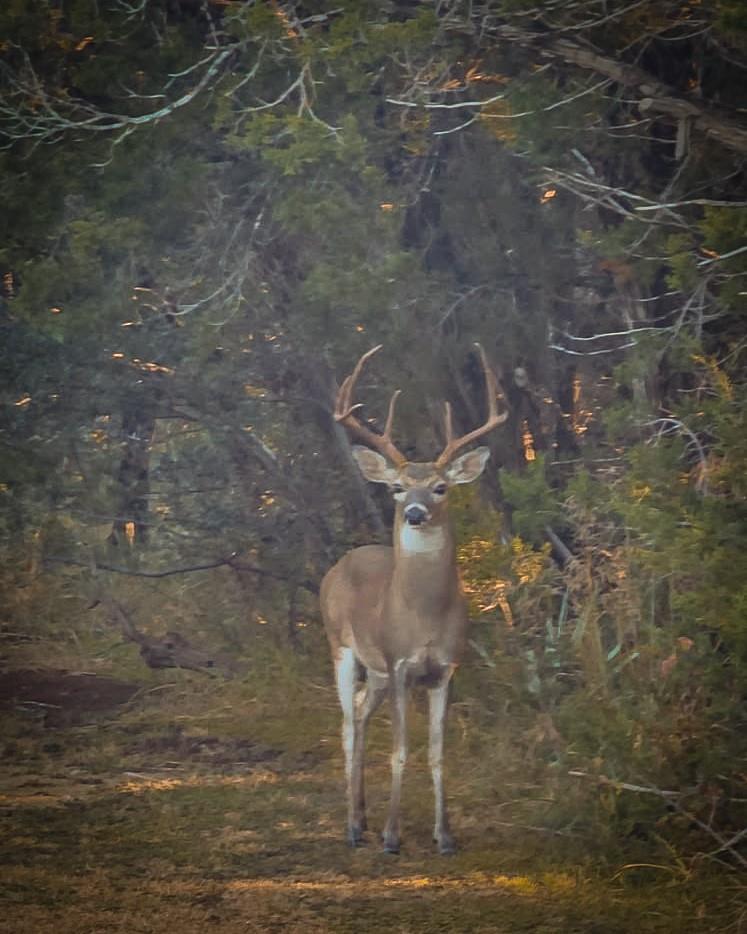 0 FM 2484 Rd, Killeen, TX 76542