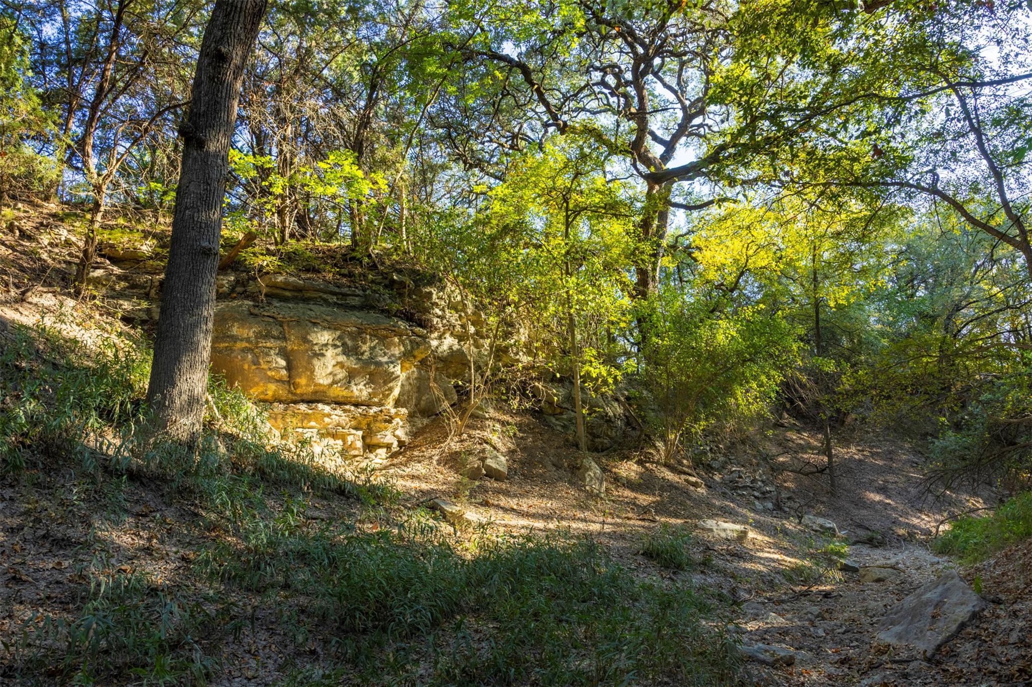 0 FM 2484 Rd, Killeen, TX 76542