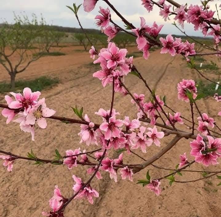 5386 Ranch Rd 1376 Rd # 370, Fredericksburg, TX 78624