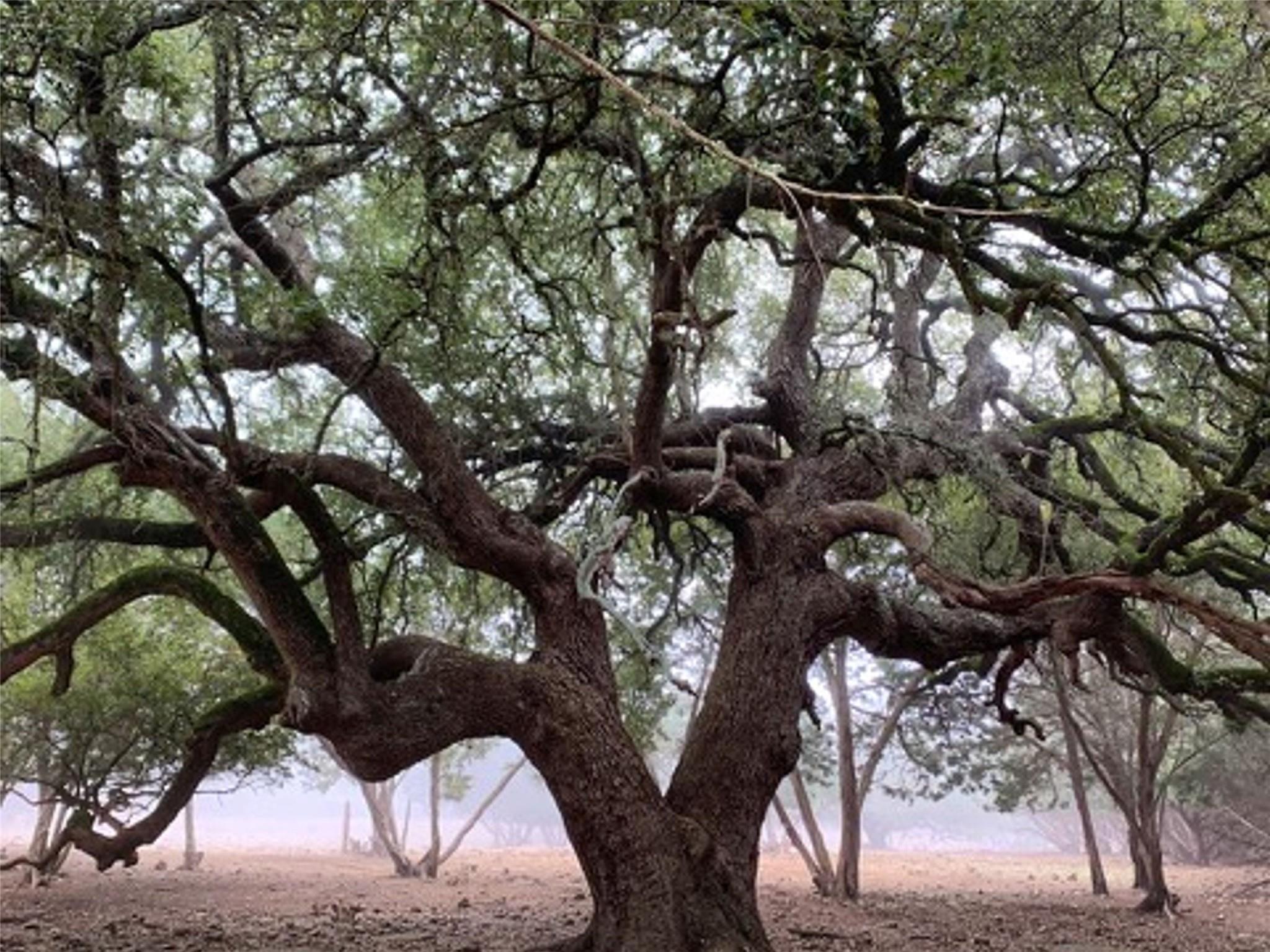 5818 Ranch Road 165, Blanco, TX 78606