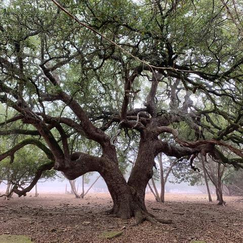 5818 Ranch Road 165, Blanco, TX 78606