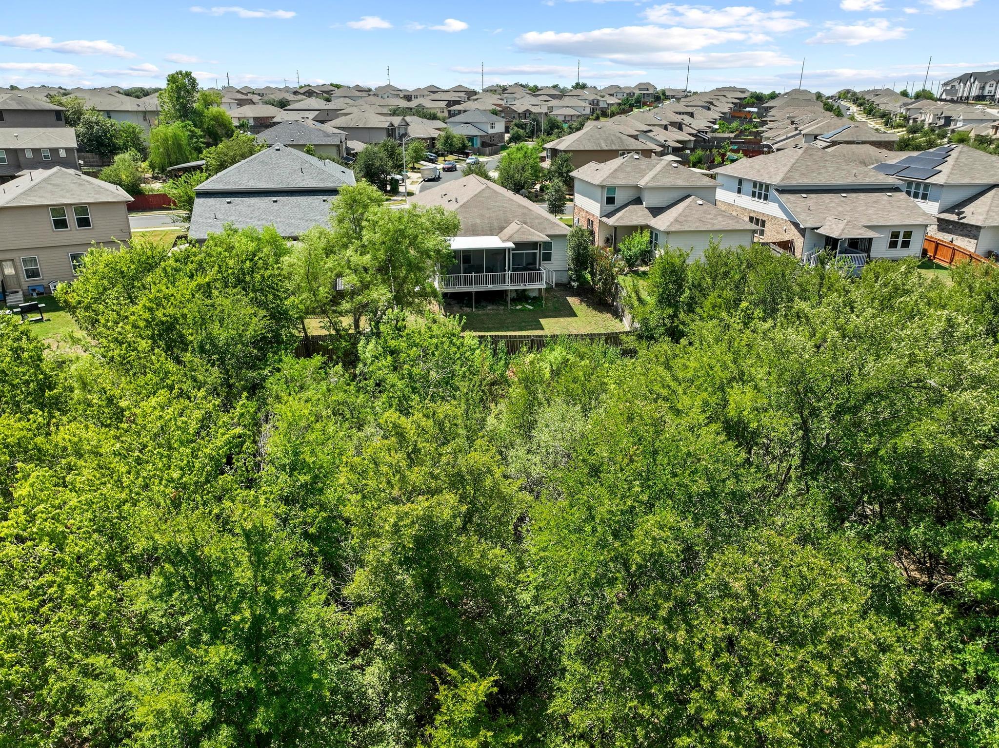 3100 Ortman Dr, Pflugerville, TX 78660