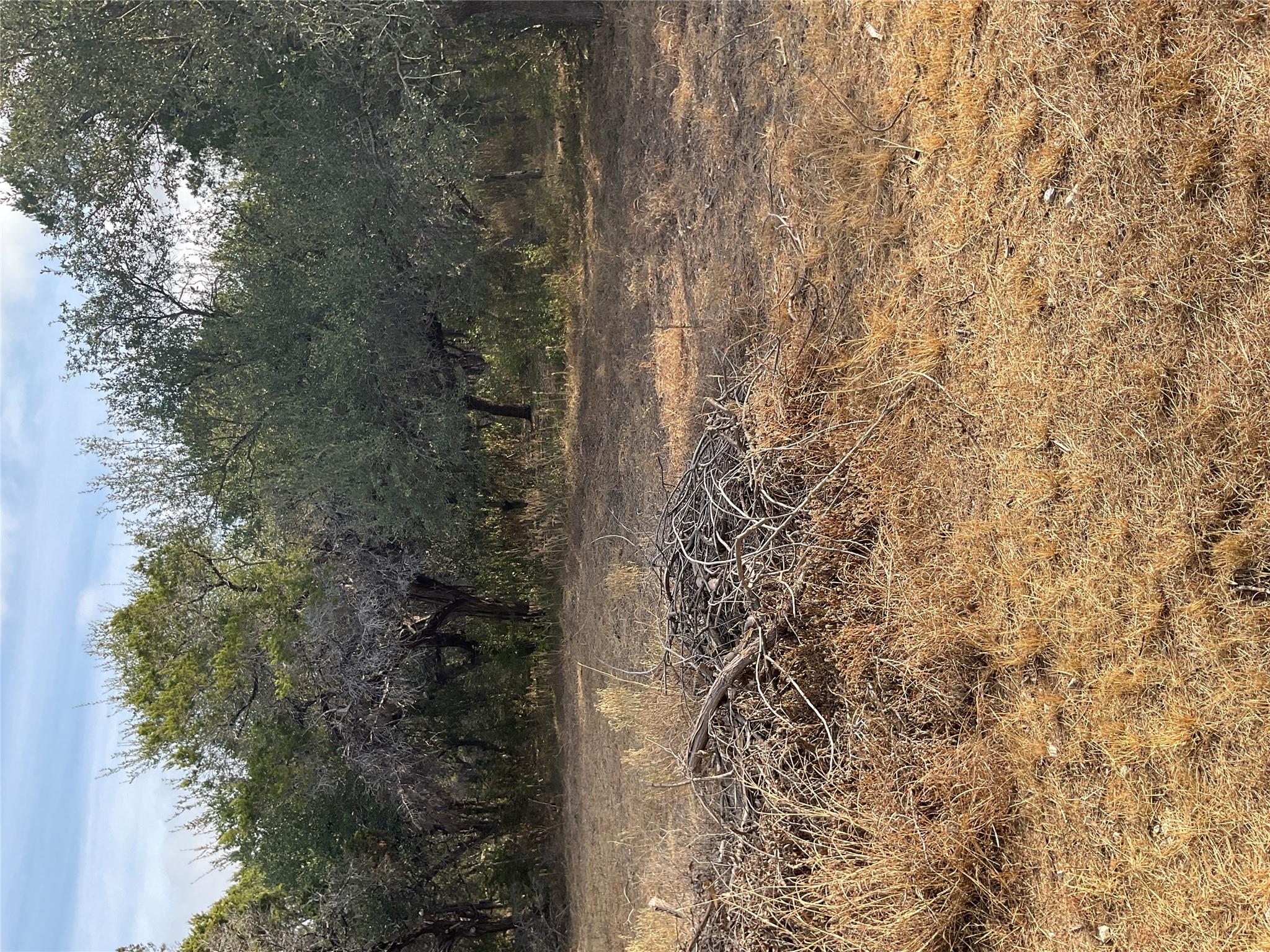 17308 W 1st St, Leander, TX 78641