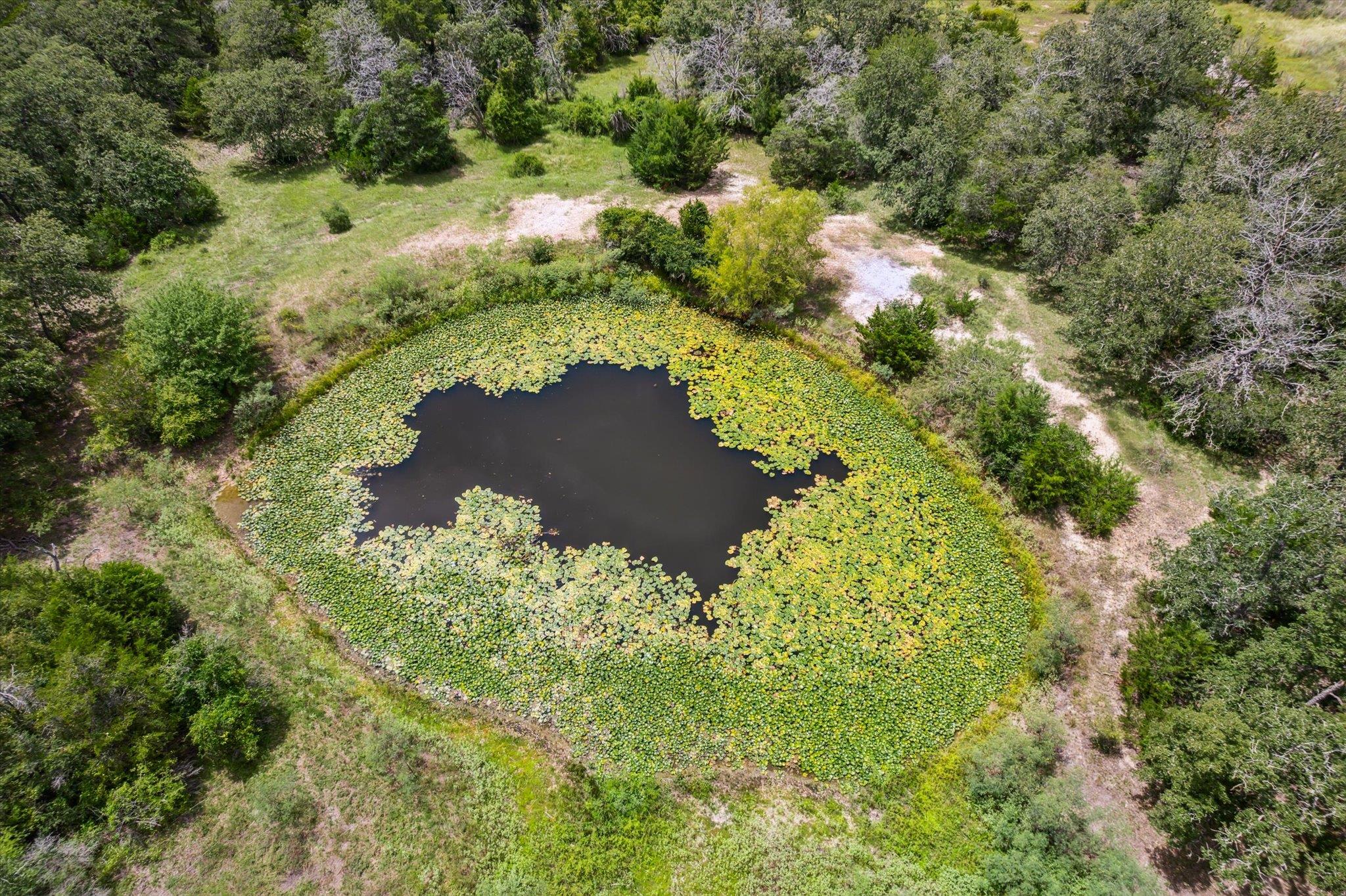 1434 County Road 139, Giddings, TX 78942