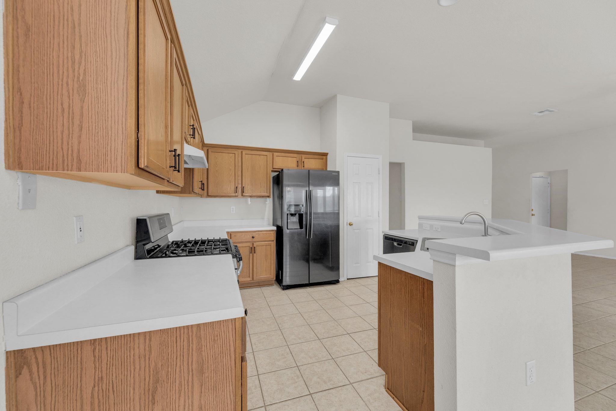 2317 Chestnut Path, Round Rock, TX 78664