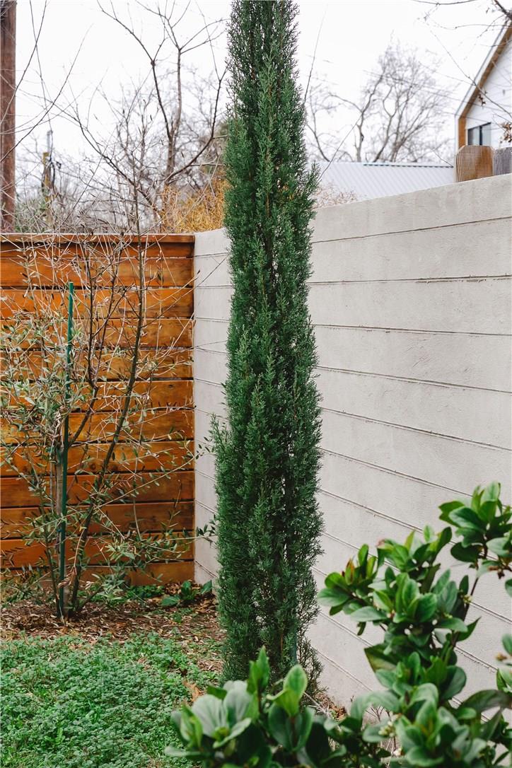 304 Nelray Blvd, Austin, TX 78751