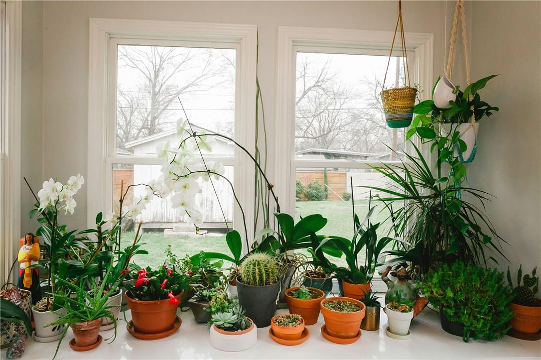 304 Nelray Blvd, Austin, TX 78751