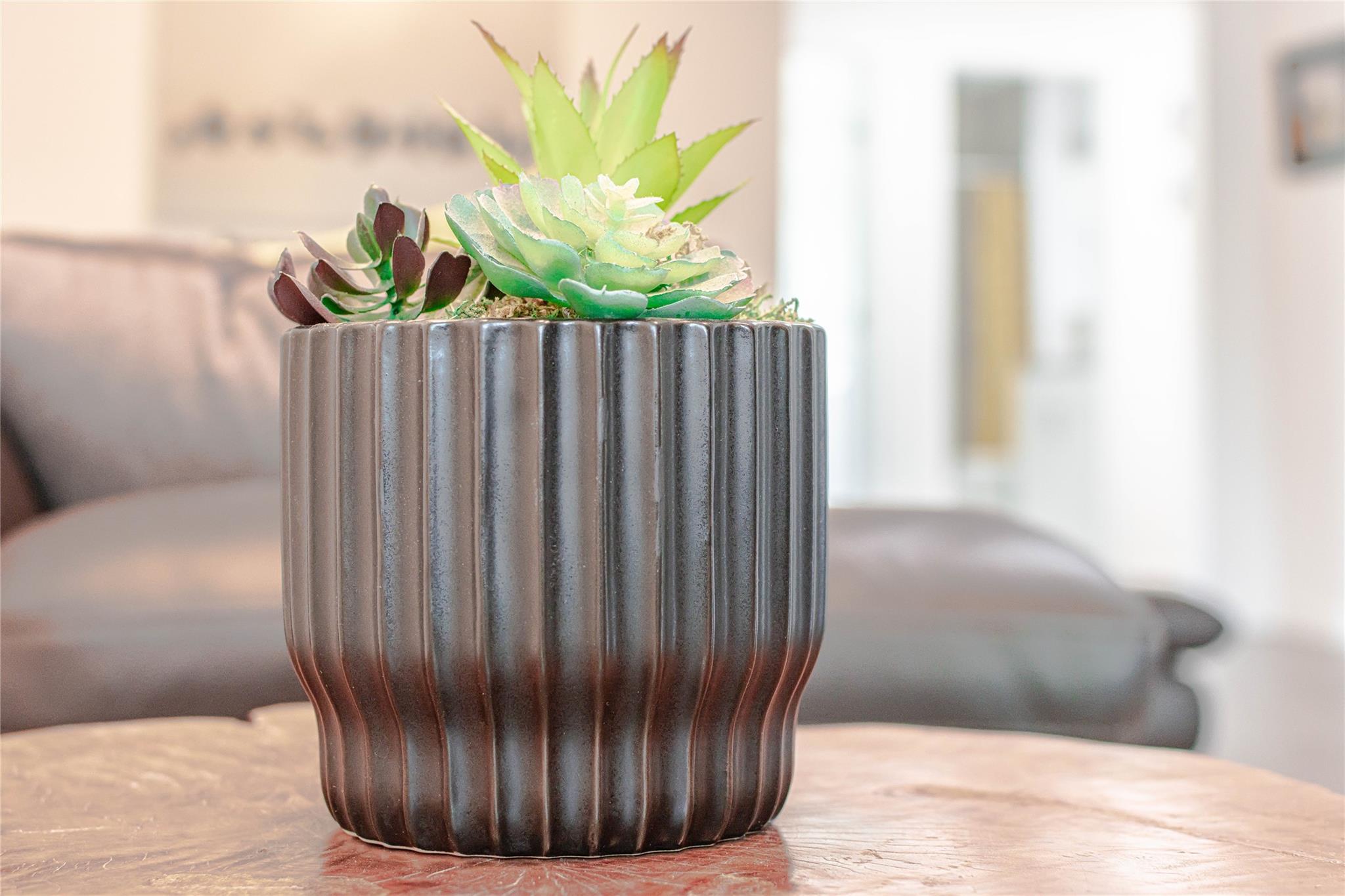 3604 Clawson Rd # 204, Austin, TX 78704