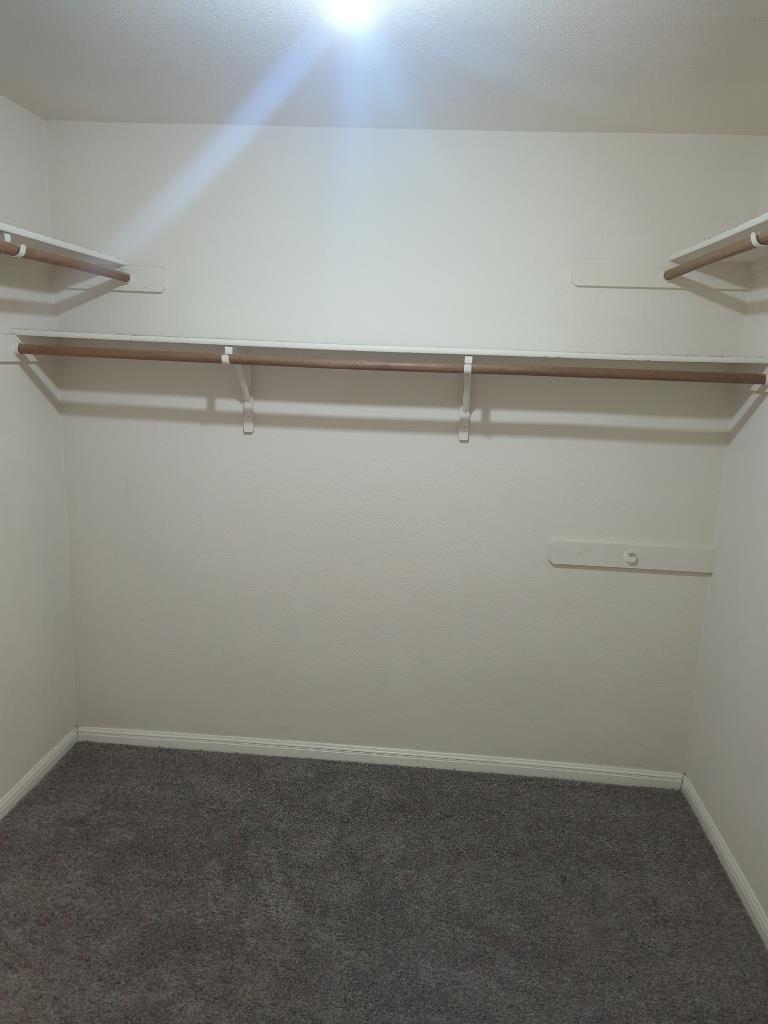 305 Avalanche Ave, Georgetown, TX 78626