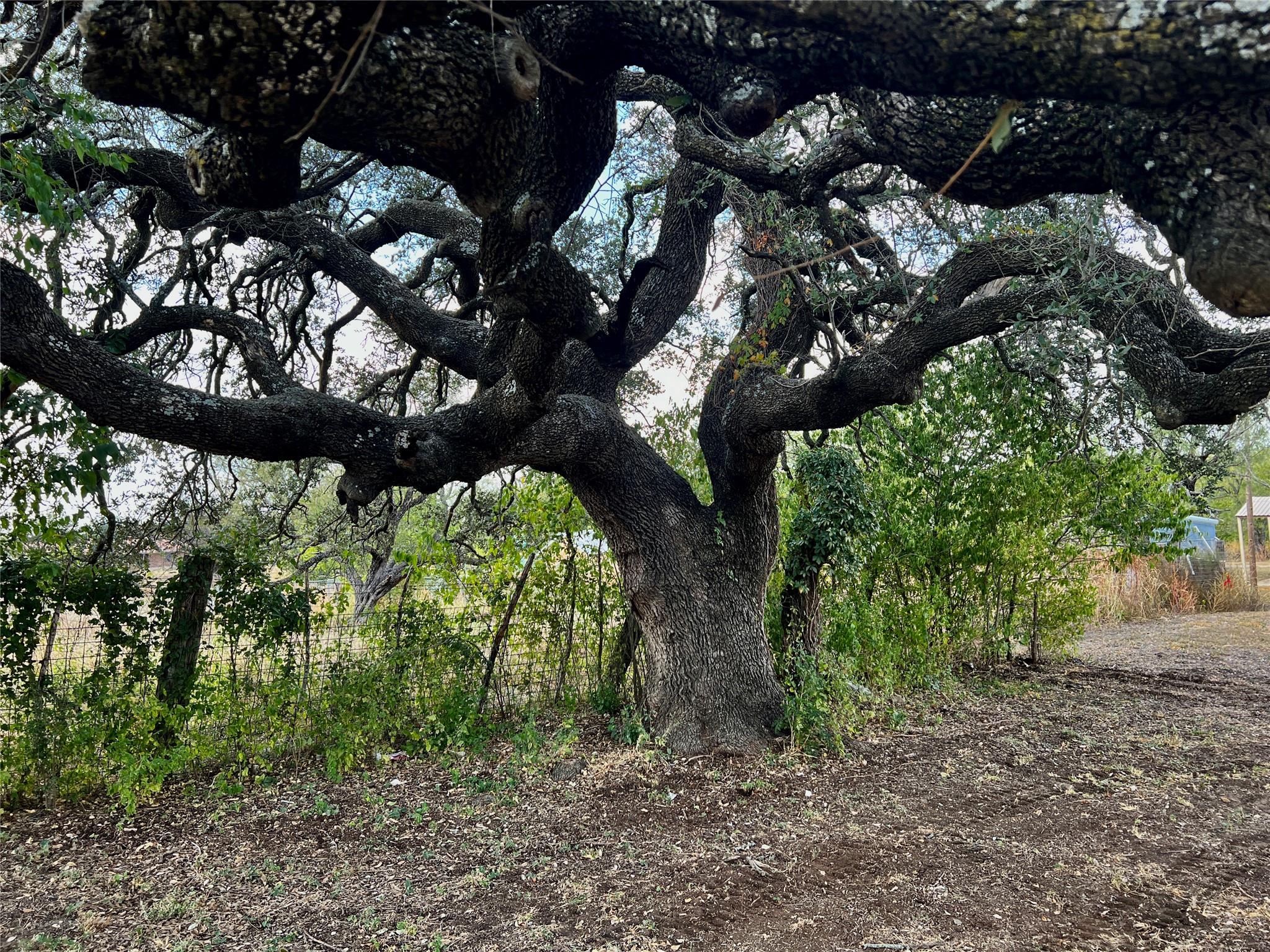 305 N HALL St, Richland Springs, TX 78643