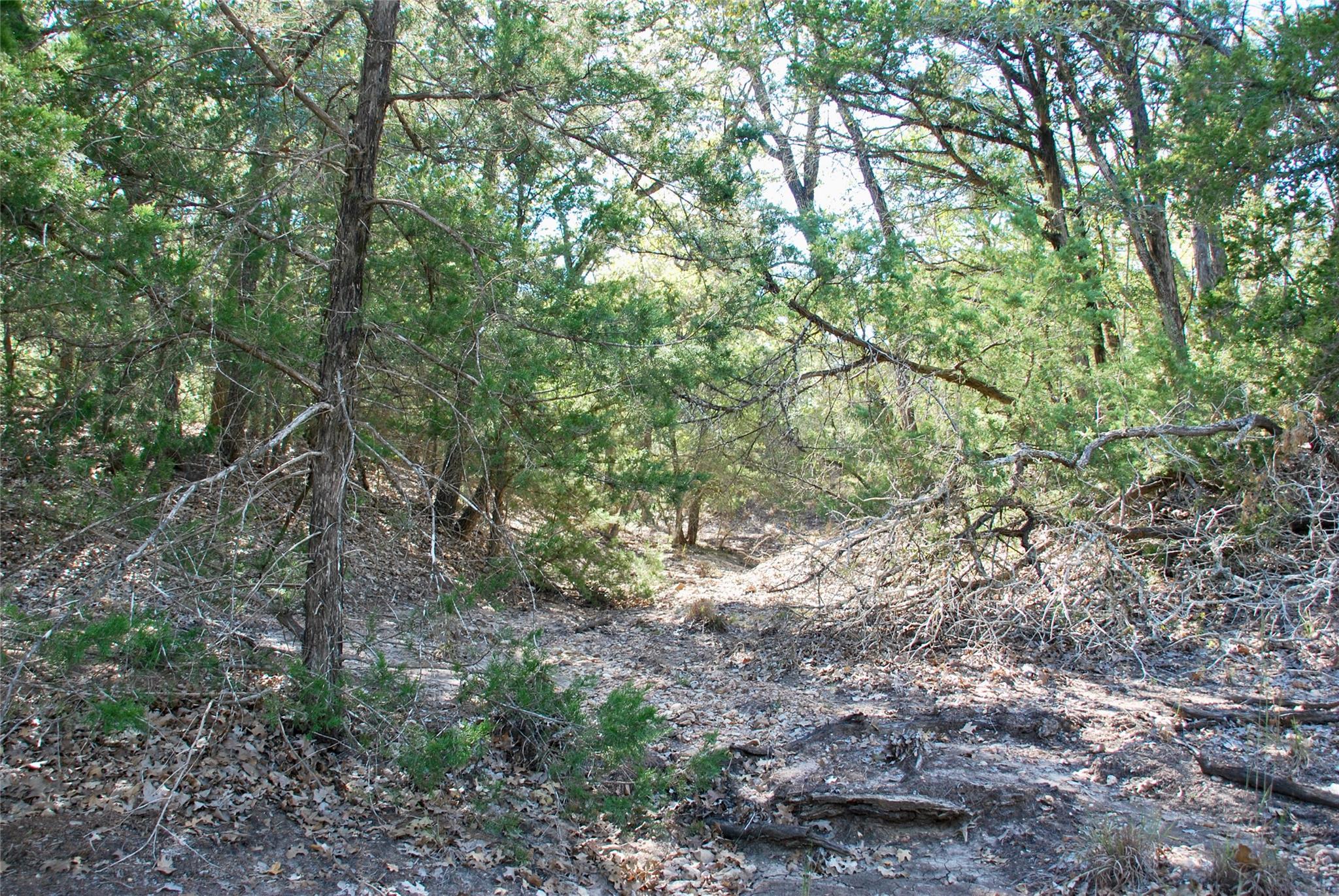 1727 Davis Rd, Muldoon, TX 78949