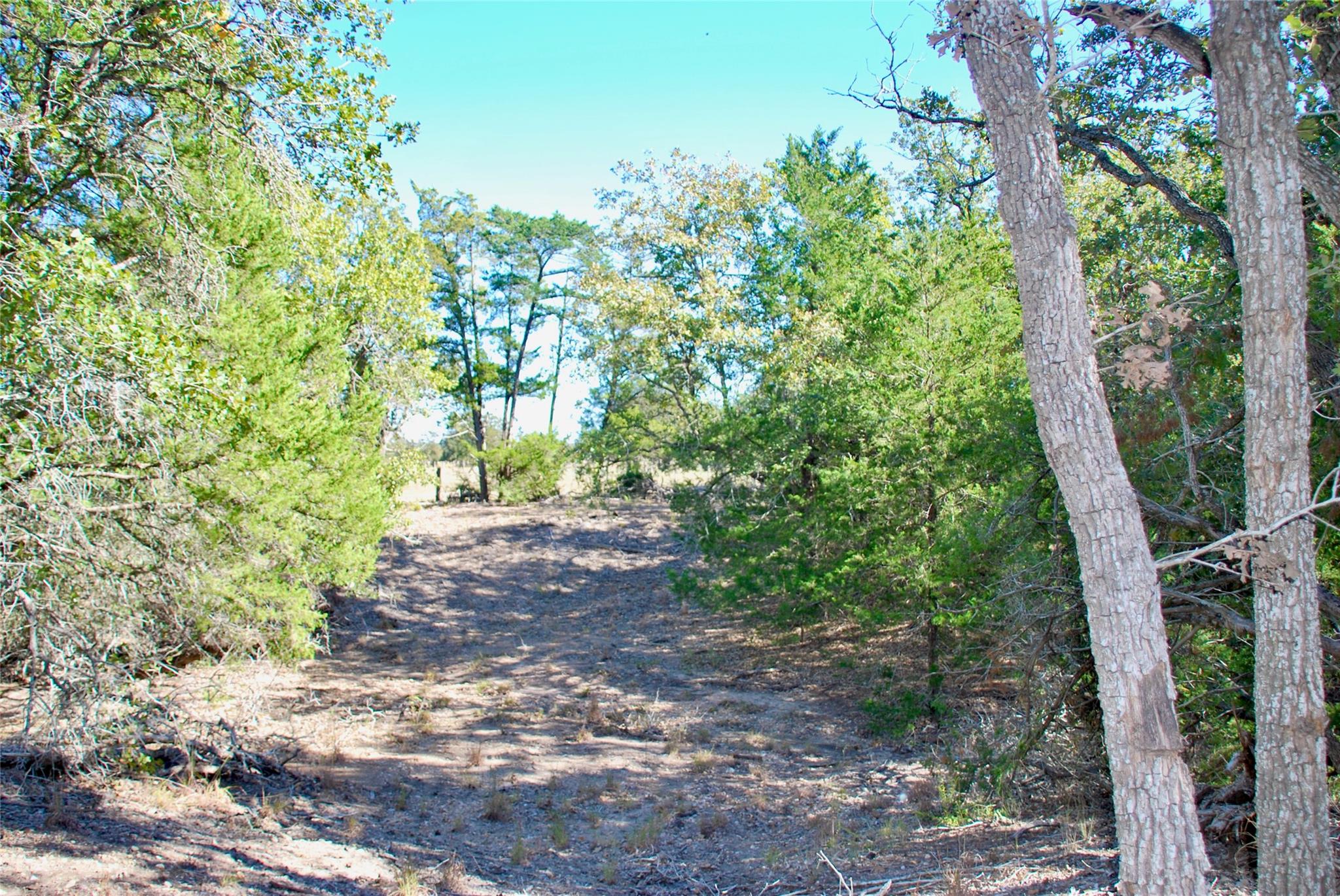 1727 Davis Rd, Muldoon, TX 78949