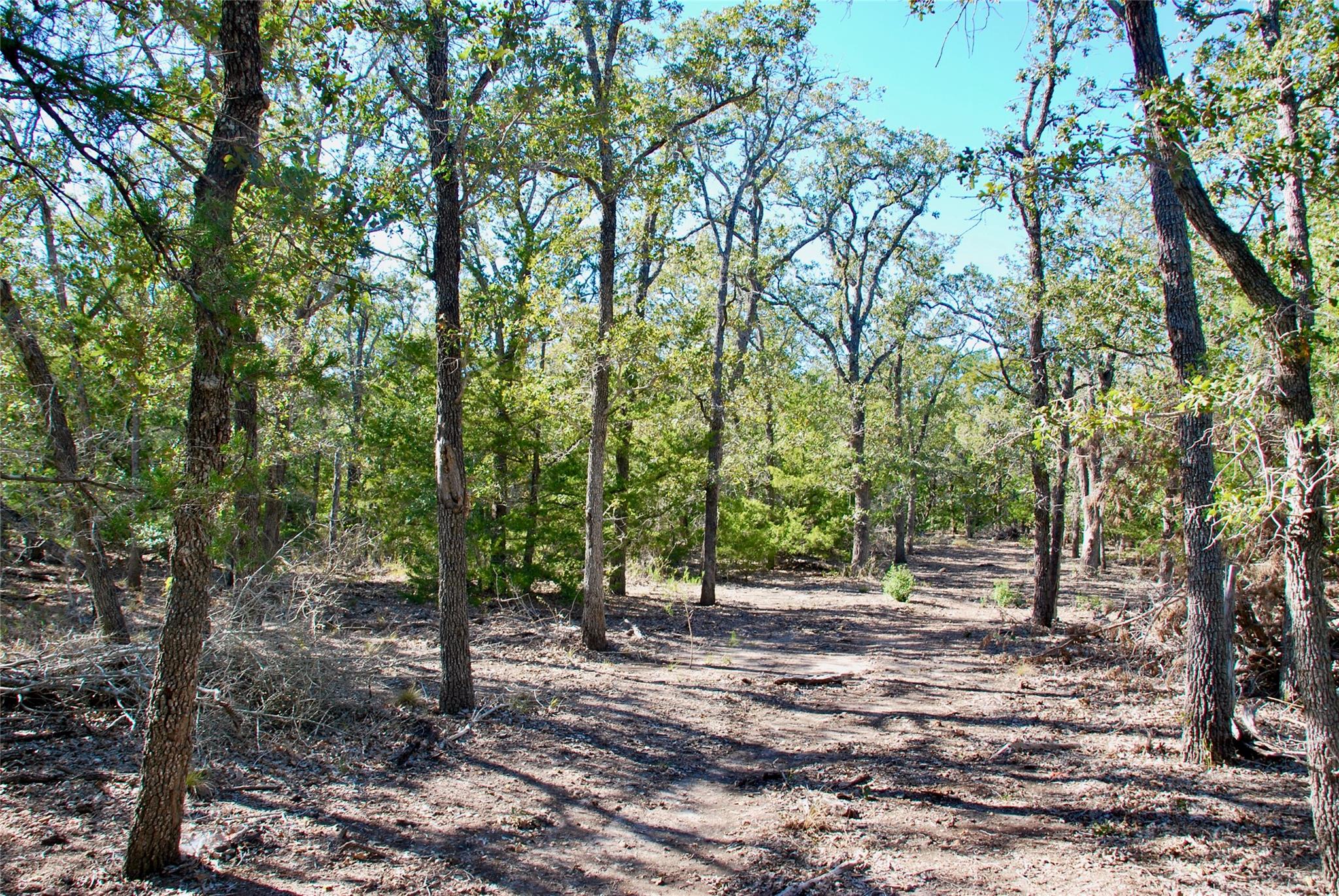 1727 Davis Rd, Muldoon, TX 78949