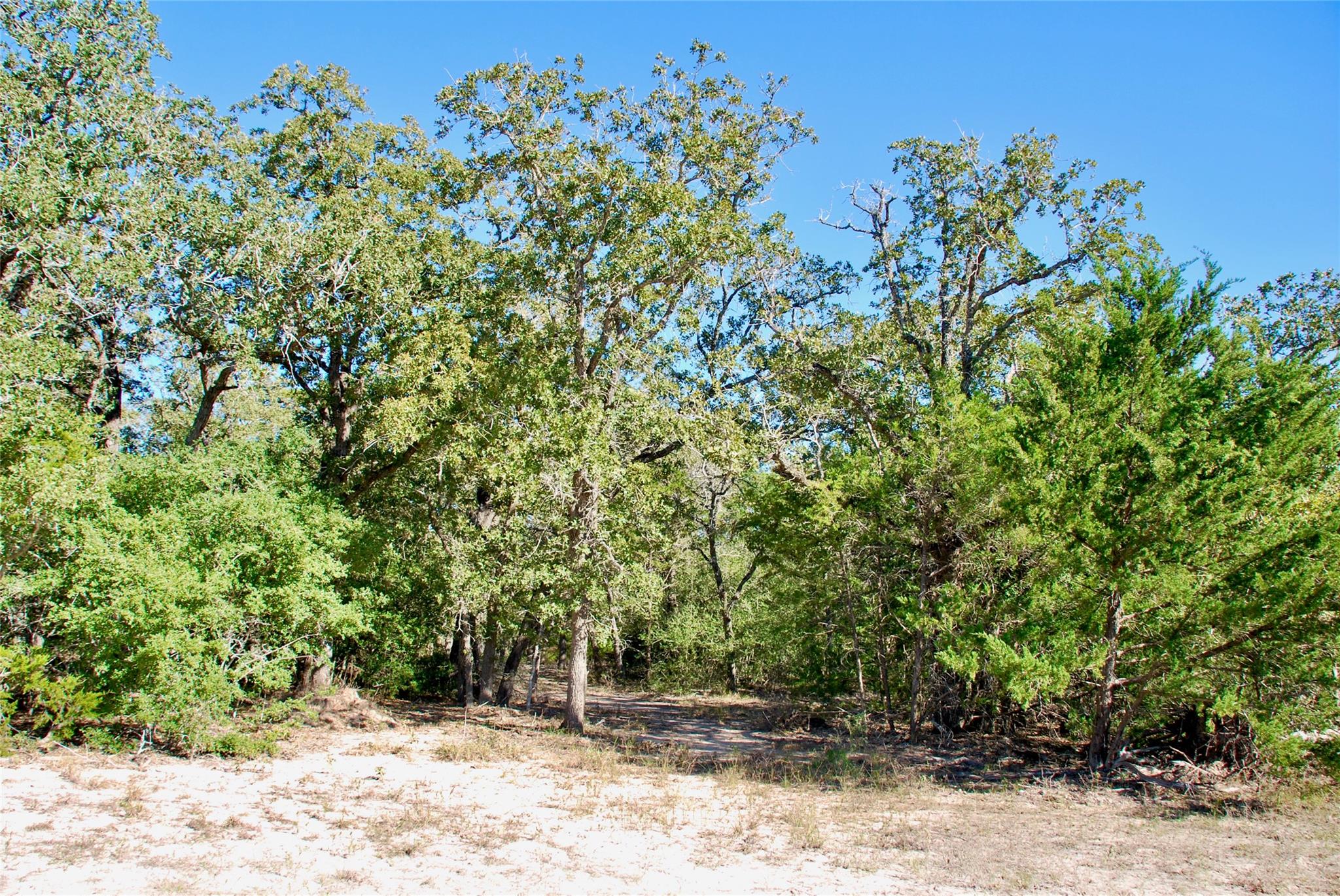 1727 Davis Rd, Muldoon, TX 78949