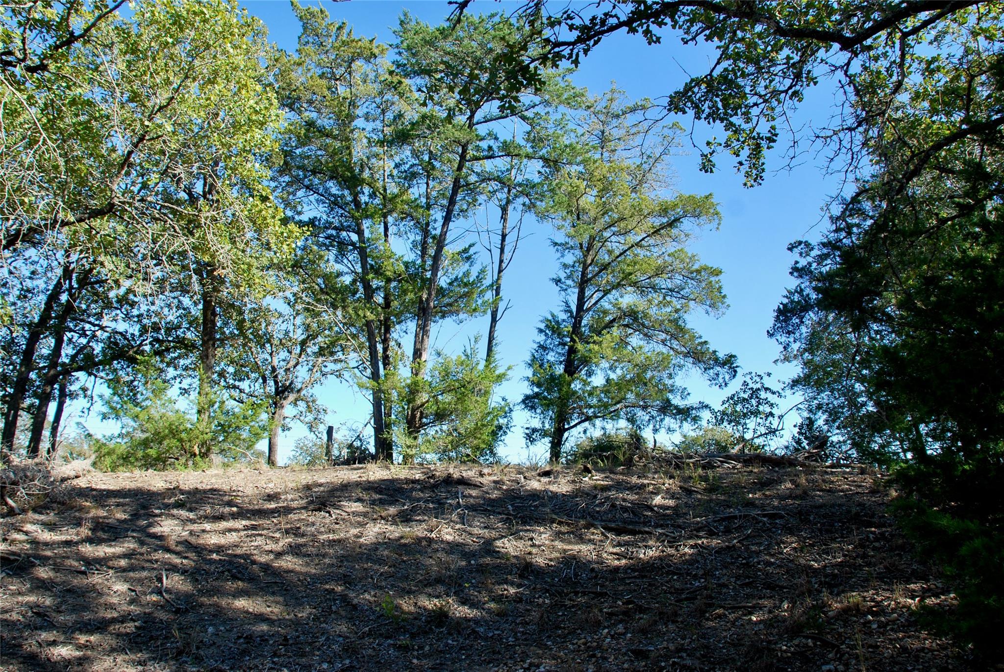 1727 Davis Rd, Muldoon, TX 78949