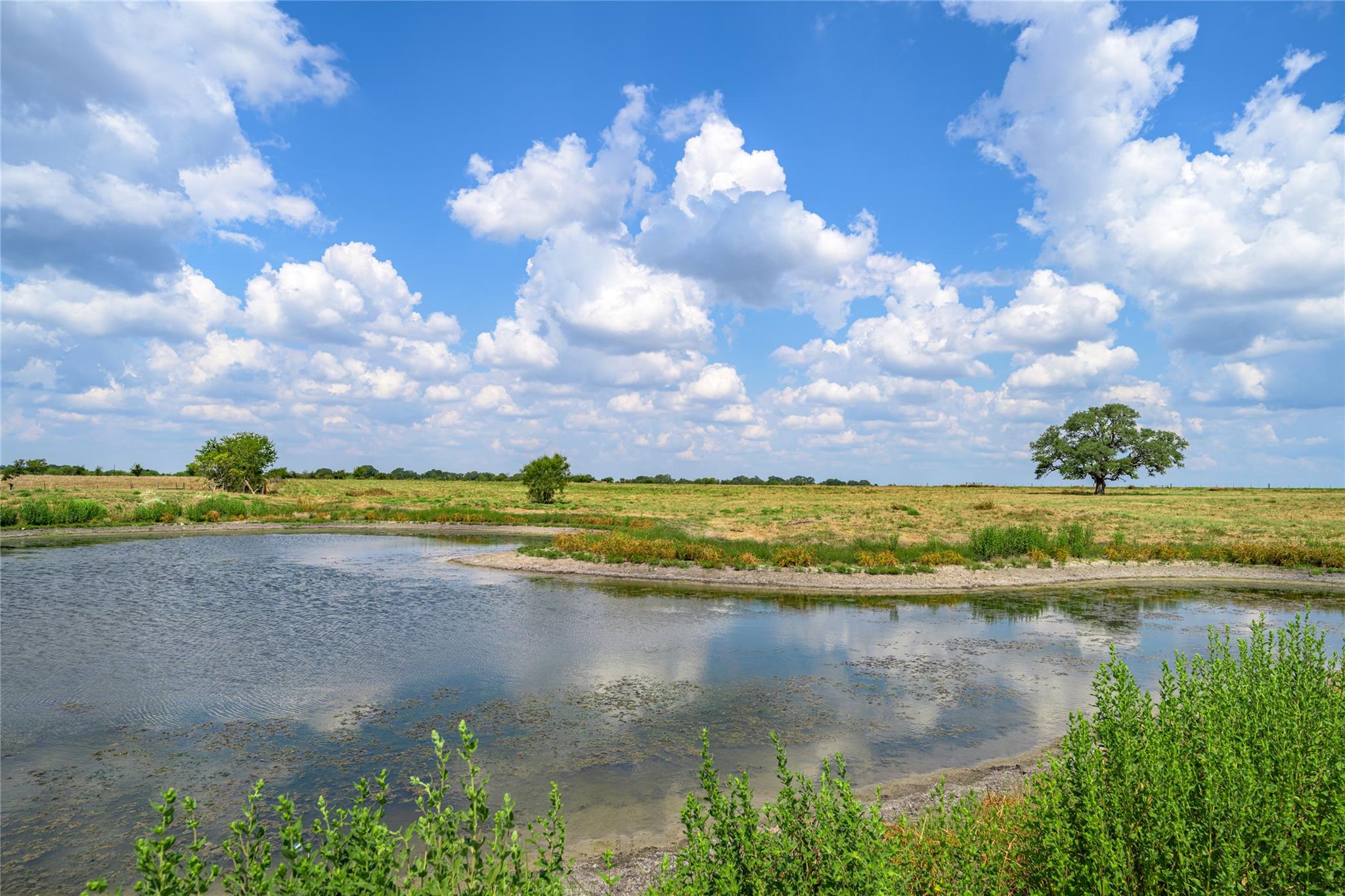 2171 E Highway 237, Round Top, TX 78954