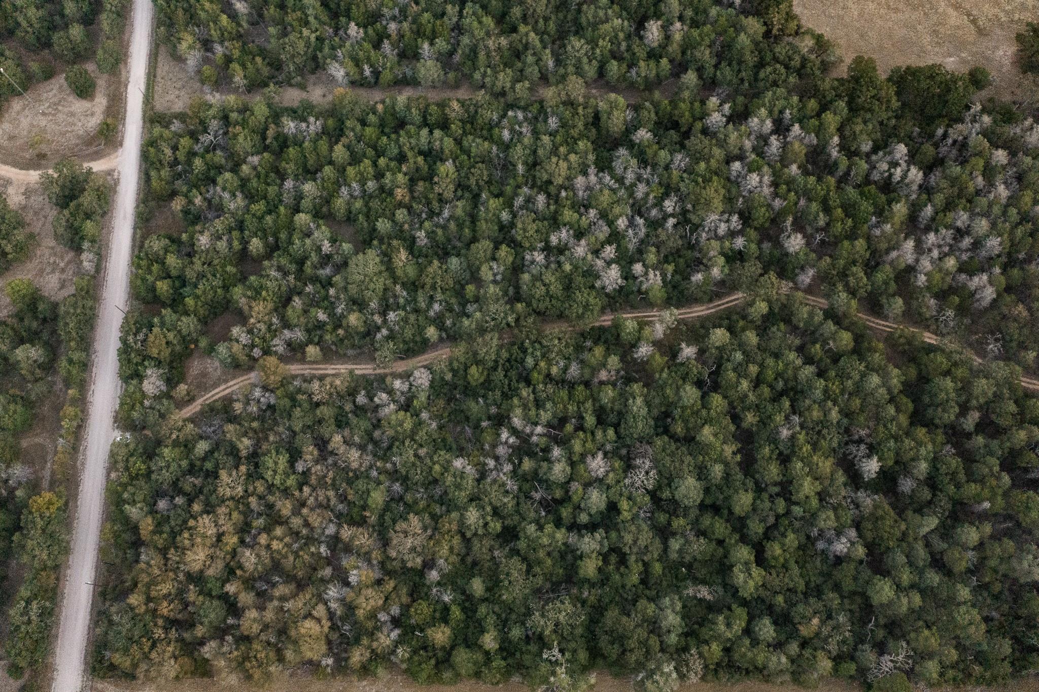 TBD St Delight Rd, Paige, TX 78659