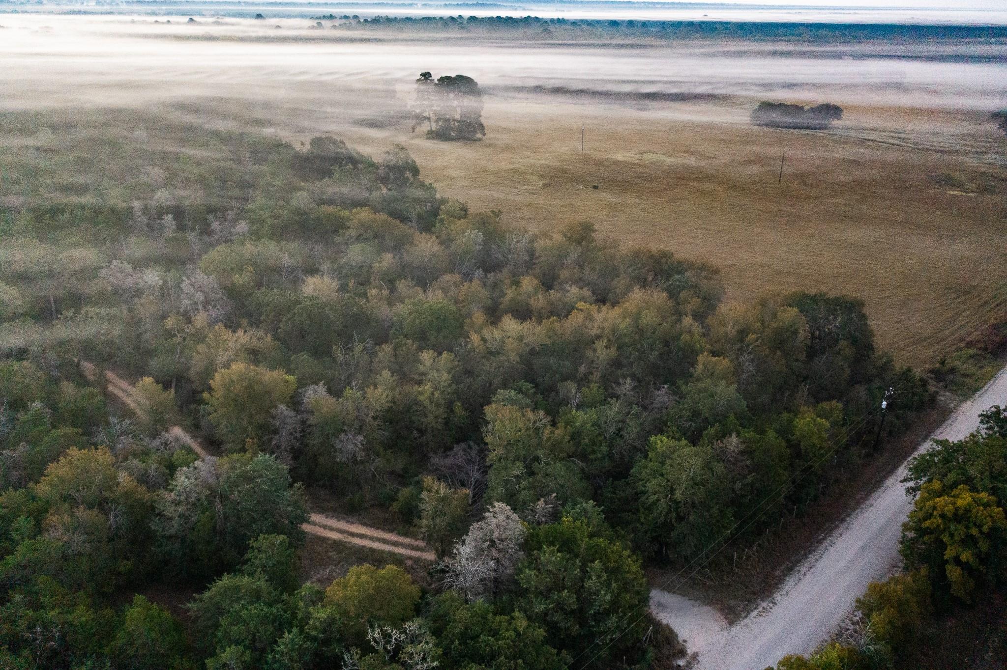 TBD St Delight Rd, Paige, TX 78659