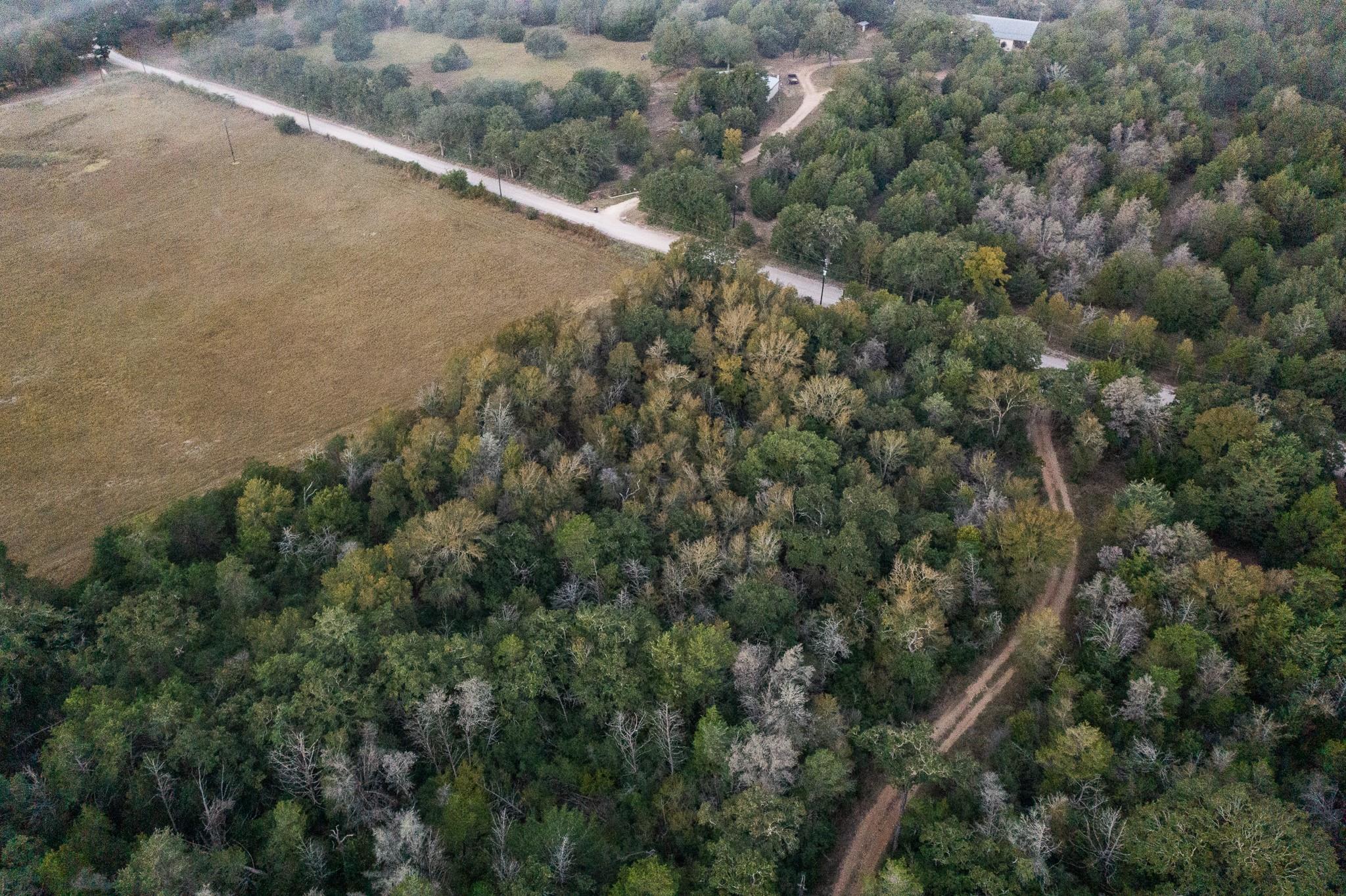 TBD St Delight Rd, Paige, TX 78659