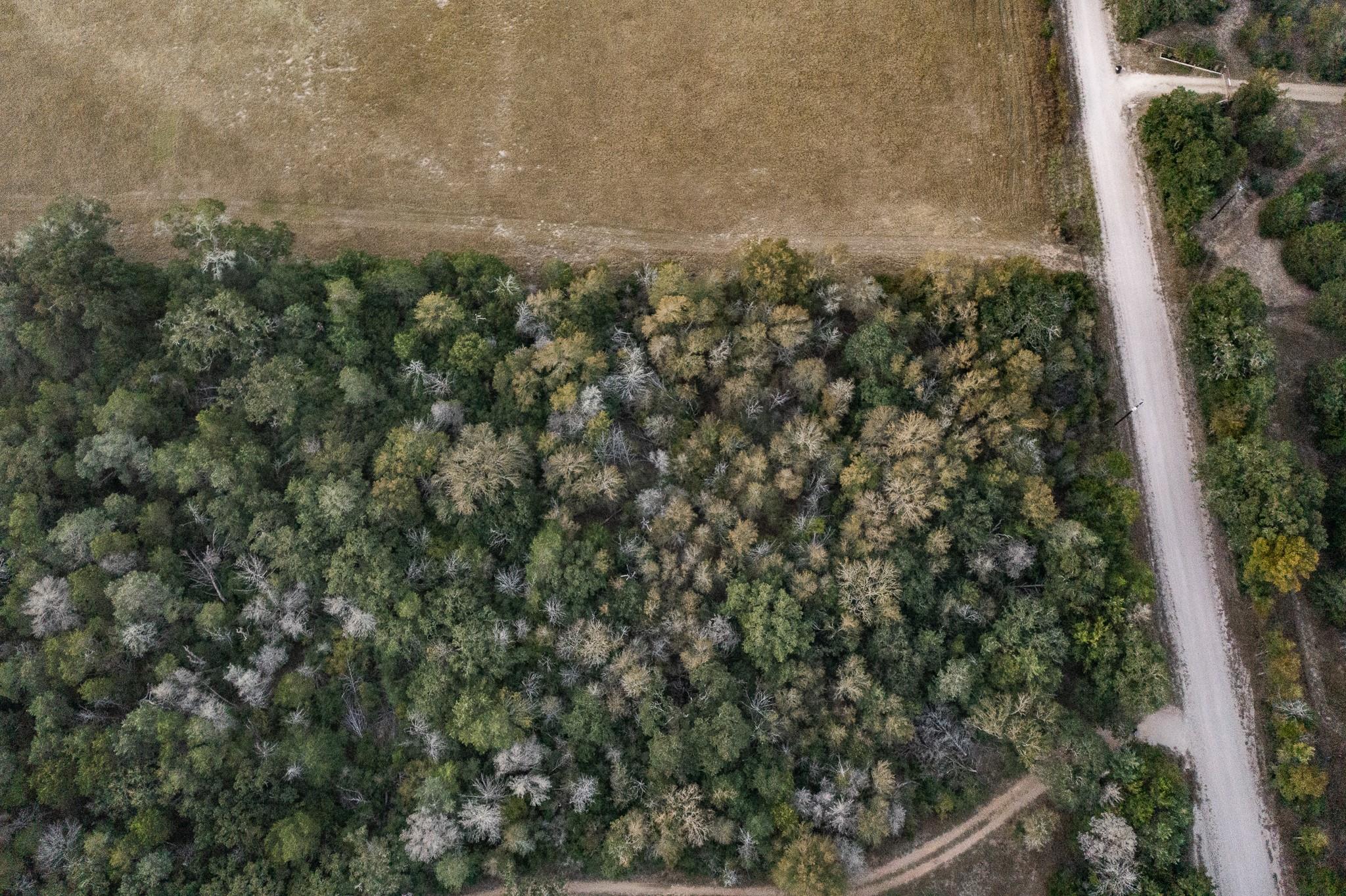 TBD St Delight Rd, Paige, TX 78659