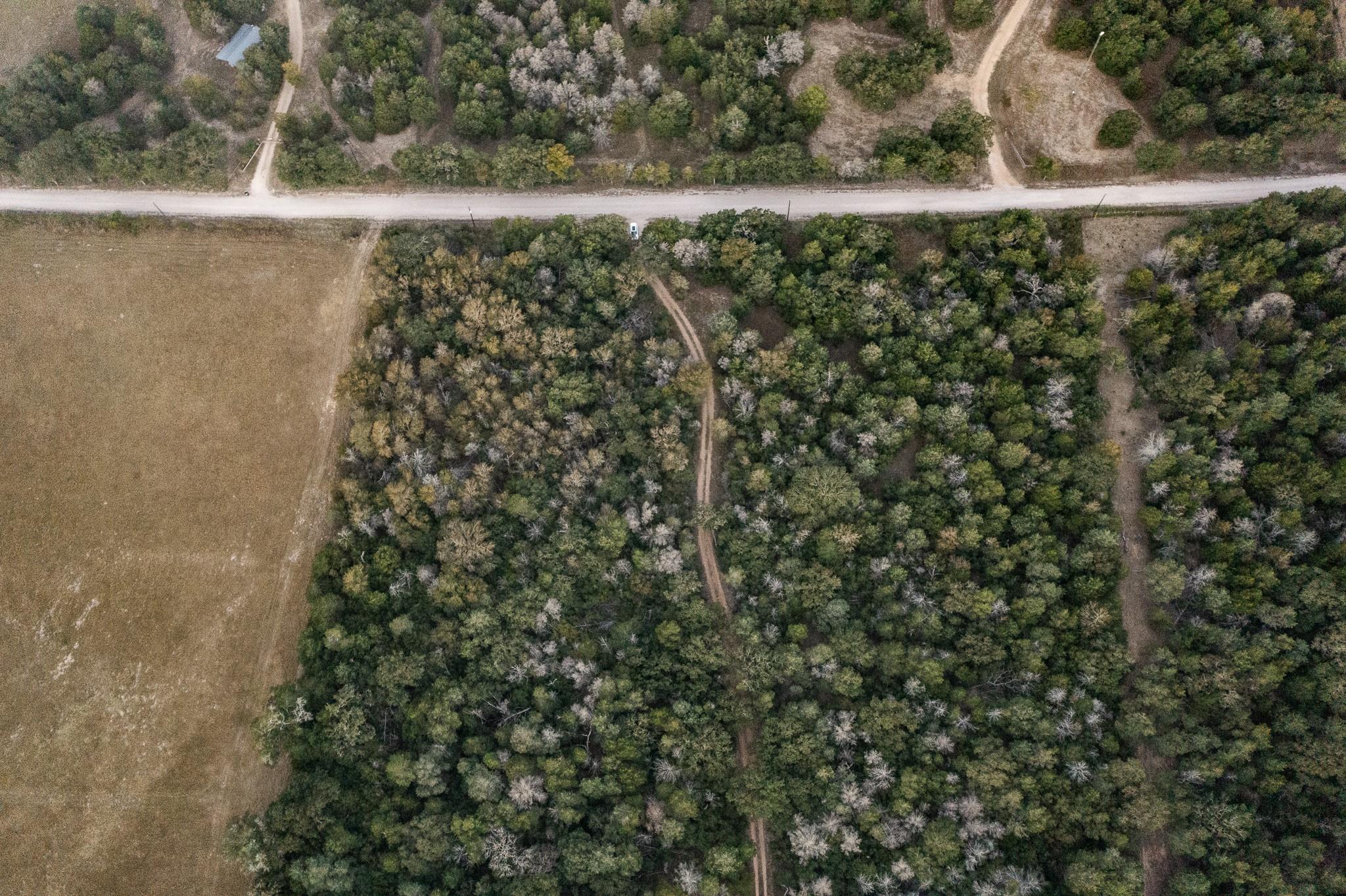 TBD St Delight Rd, Paige, TX 78659