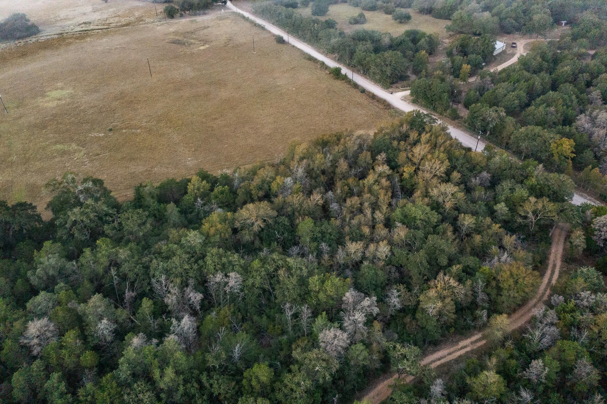 TBD St Delight Rd, Paige, TX 78659