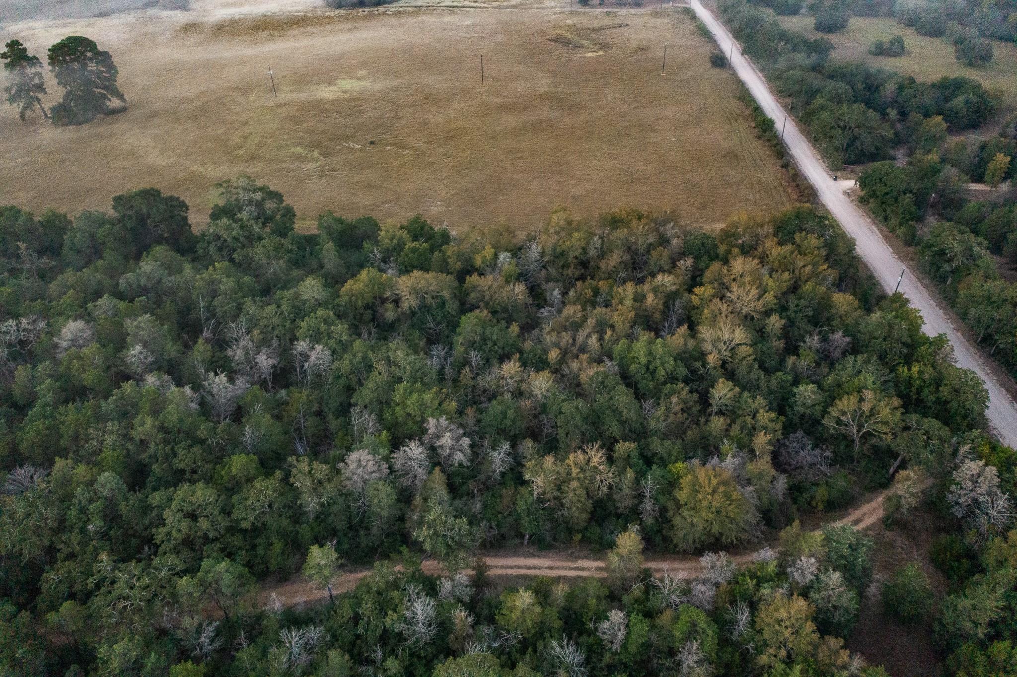 TBD St Delight Rd, Paige, TX 78659