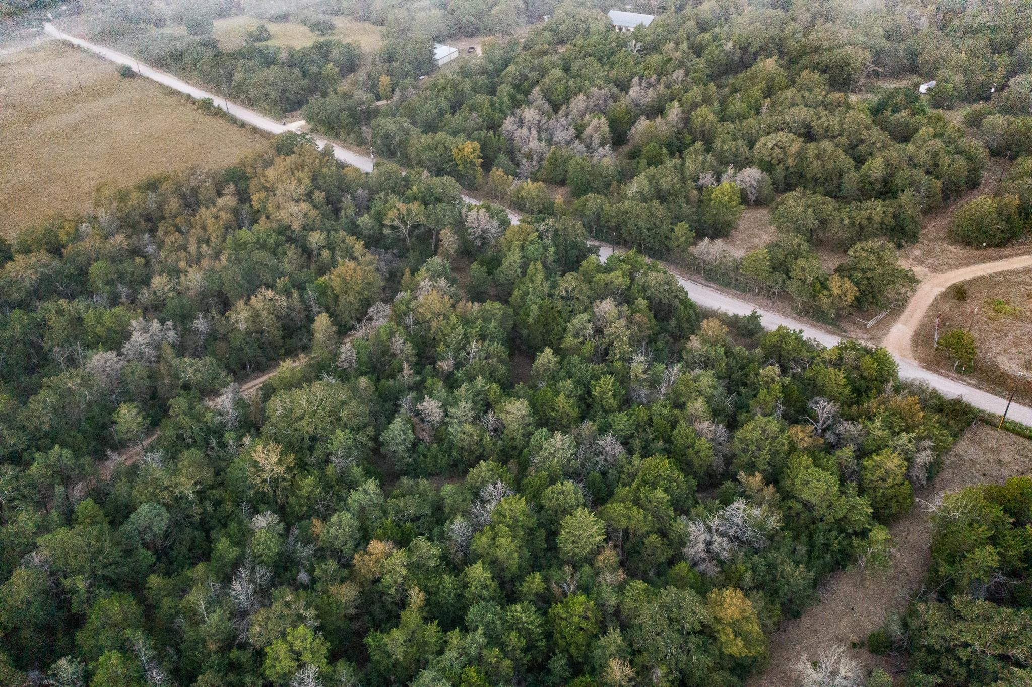 TBD St Delight Rd, Paige, TX 78659