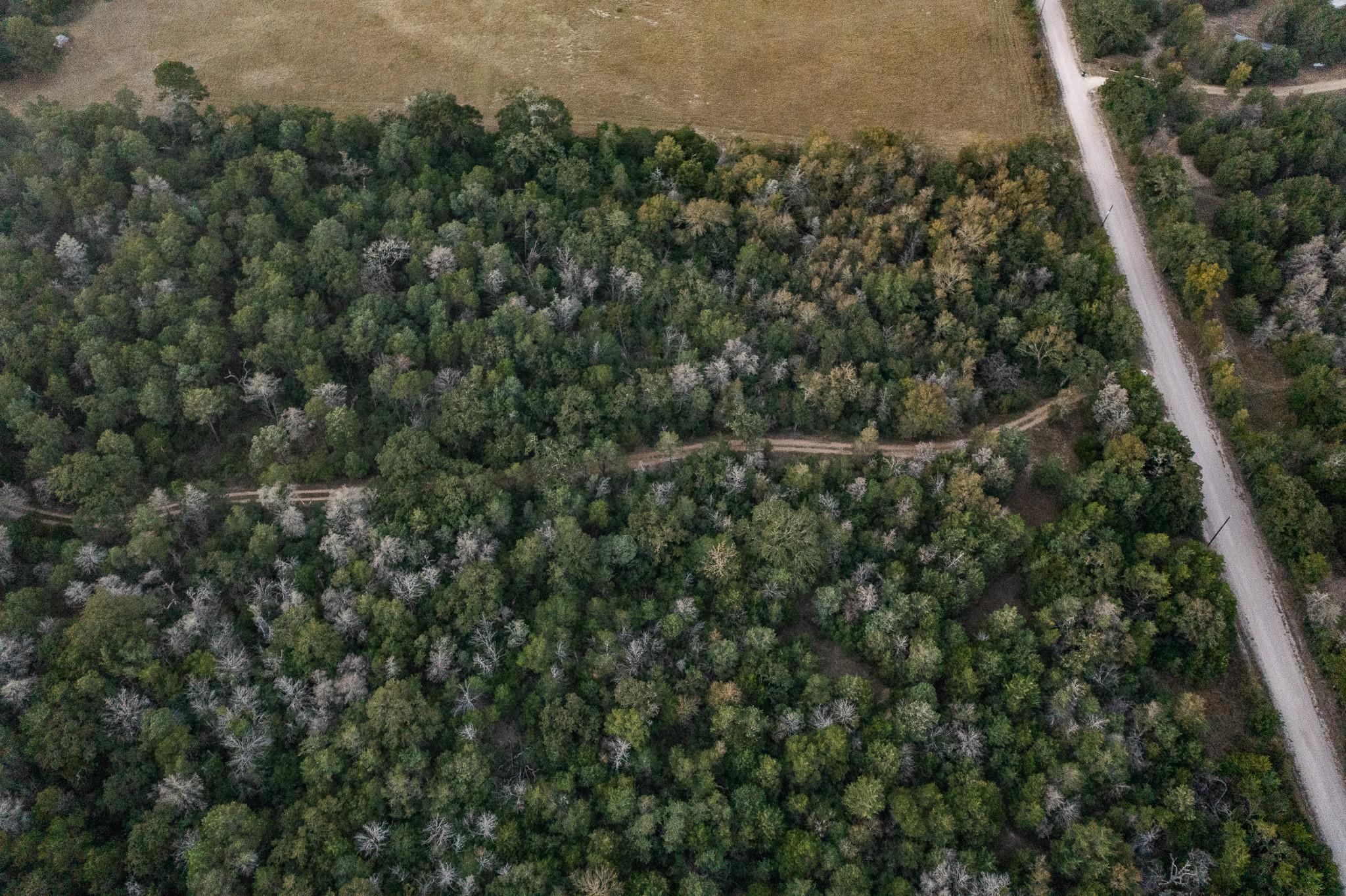 TBD St Delight Rd, Paige, TX 78659