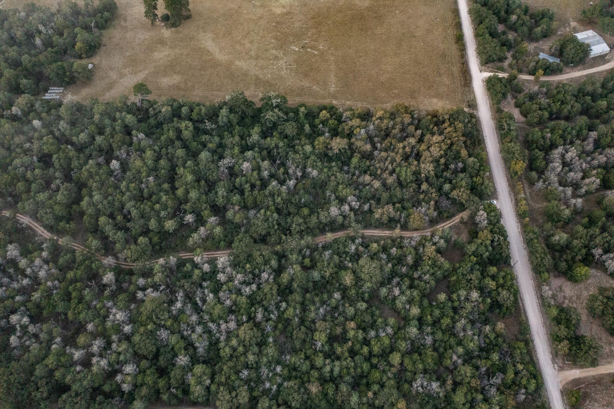 TBD St Delight Rd, Paige, TX 78659