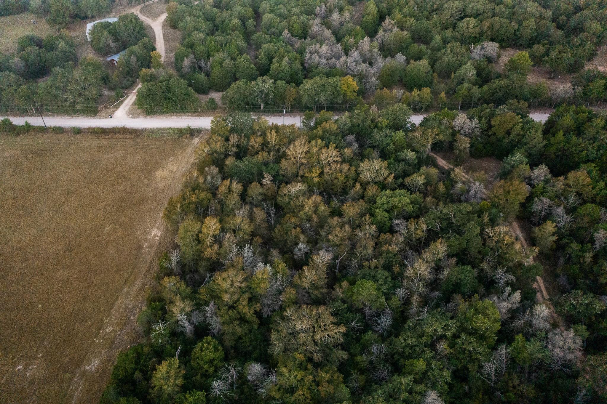 TBD St Delight Rd, Paige, TX 78659