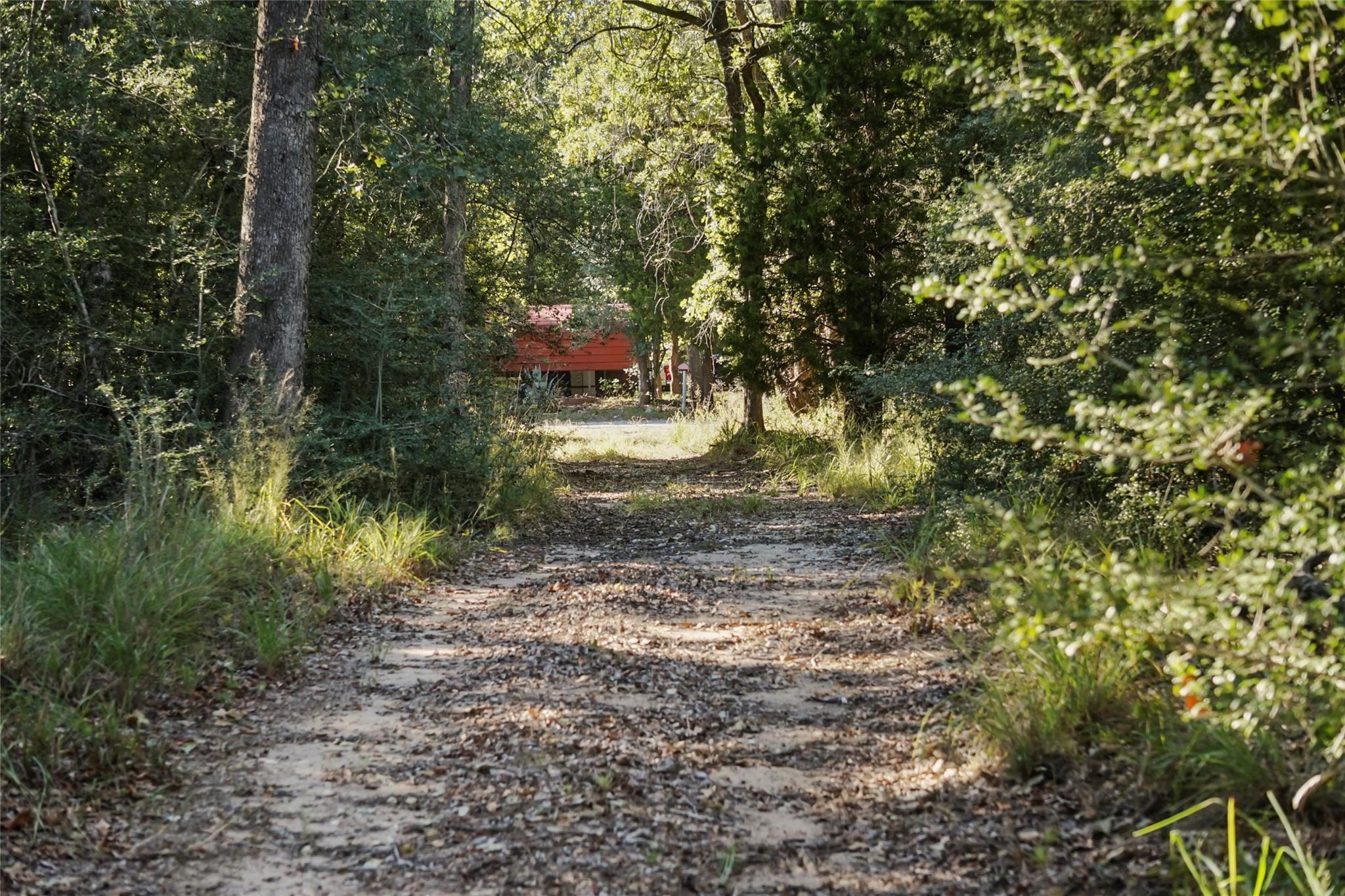 141 Morning Dove Ln, Elgin, TX 78602