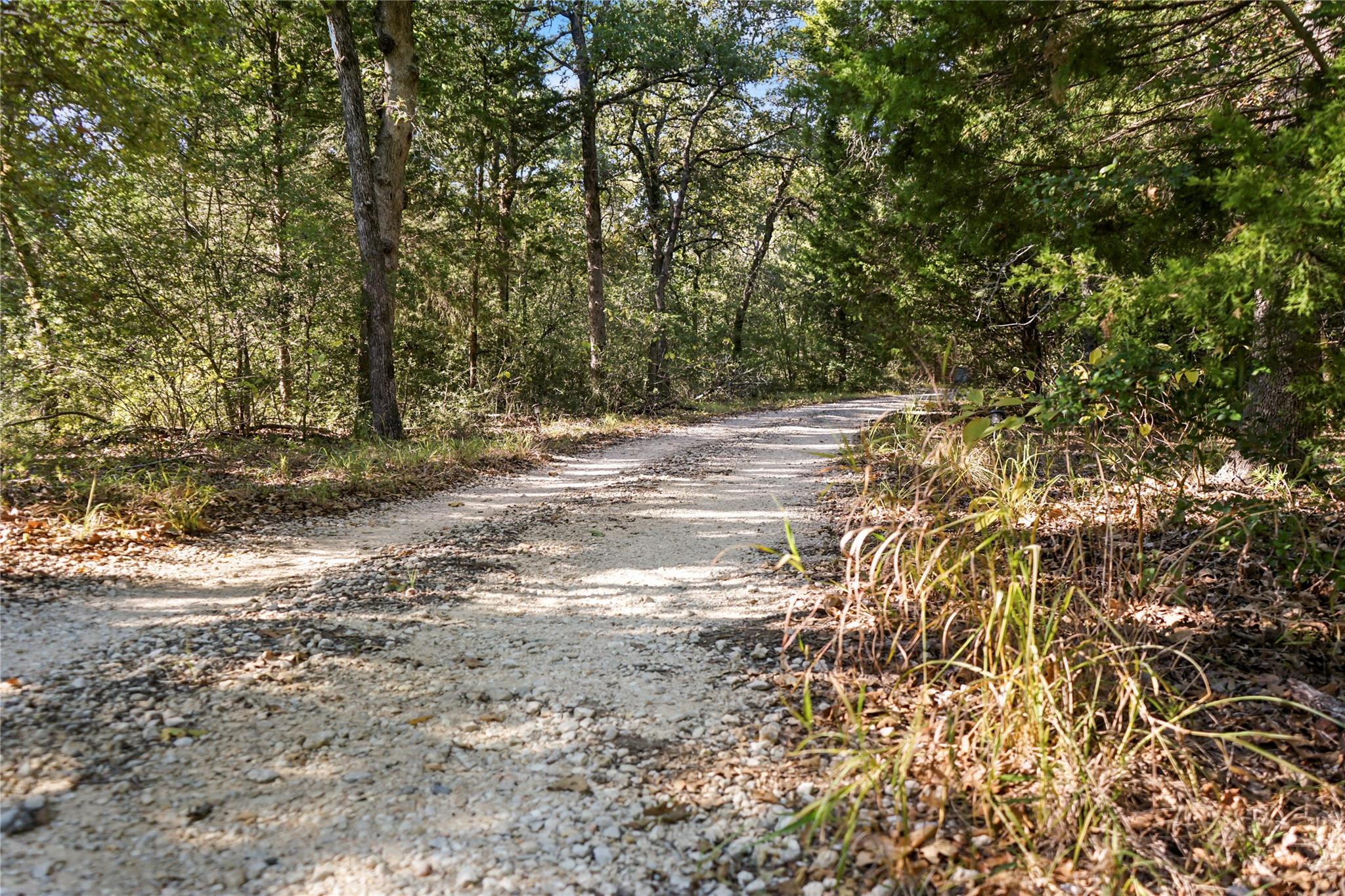 141 Morning Dove Ln, Elgin, TX 78602