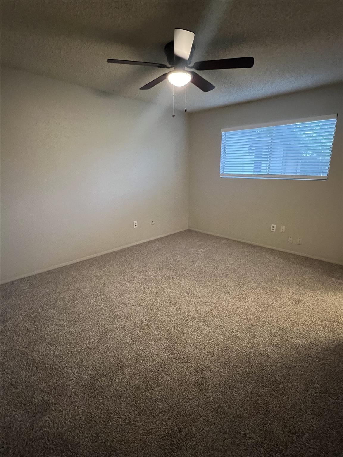 8105 Dowling Cv, Austin, TX 78745