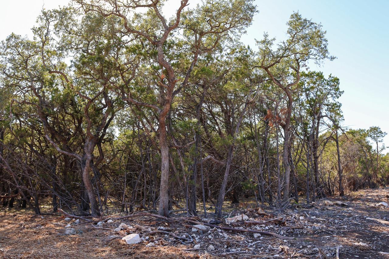 3101 - 2 Longhorn Trl, Wimberley, TX 78676