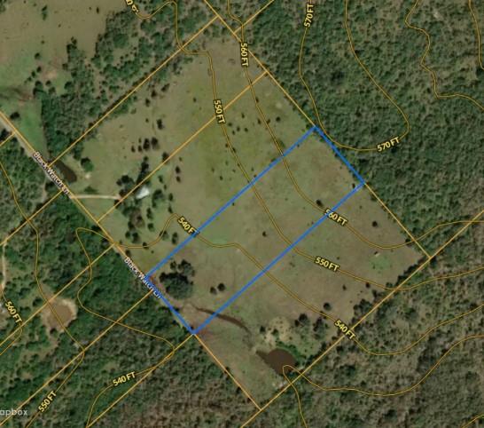 387 Black Watch Ln, Lockhart, TX 78644