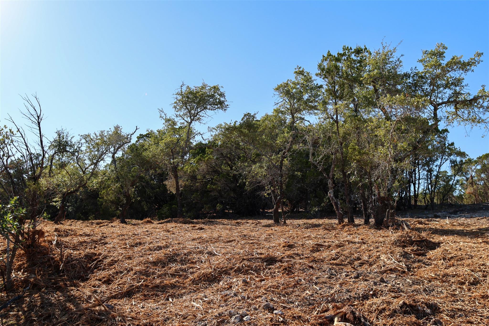 3101 - 4 Longhorn Trl Trl, Wimberley, TX 78676