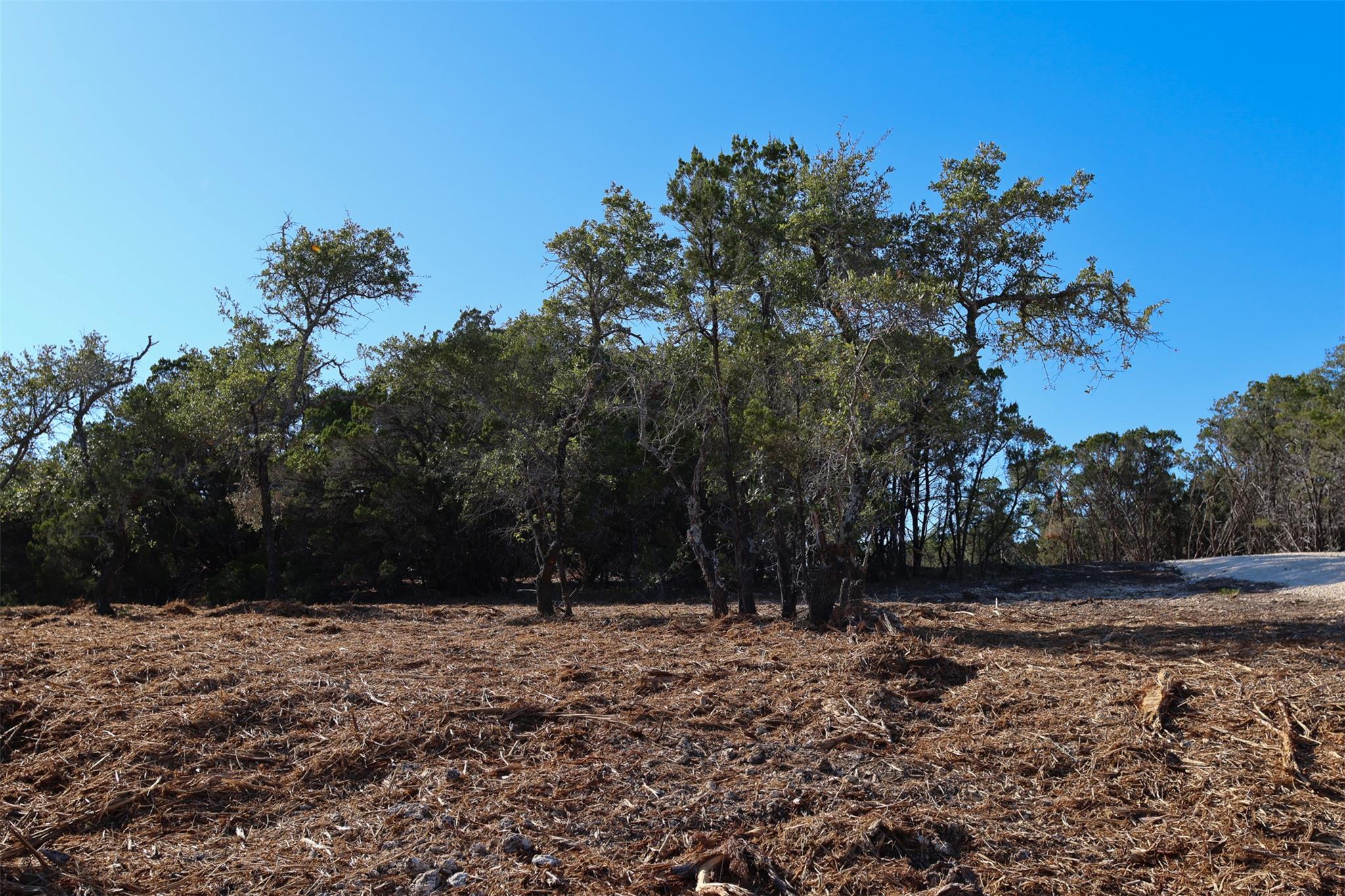 3101 - 4 Longhorn Trl Trl, Wimberley, TX 78676