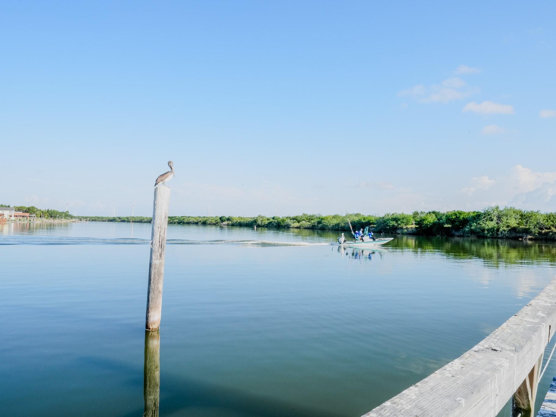 35279 Fm-2925 Rd, Rio Hondo, TX 78583