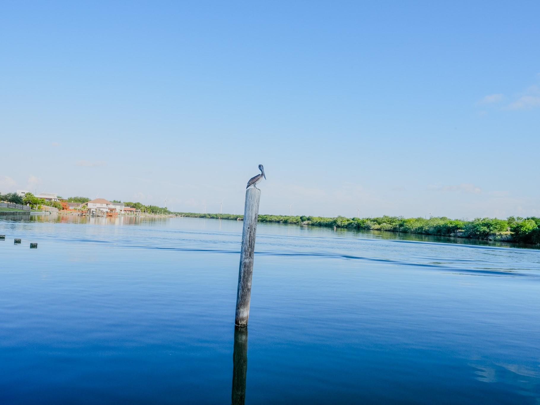 35279 Fm-2925 Rd, Rio Hondo, TX 78583